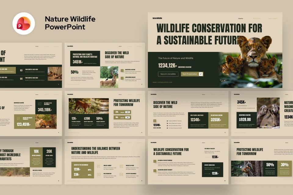 Nature Wildlife Presentation