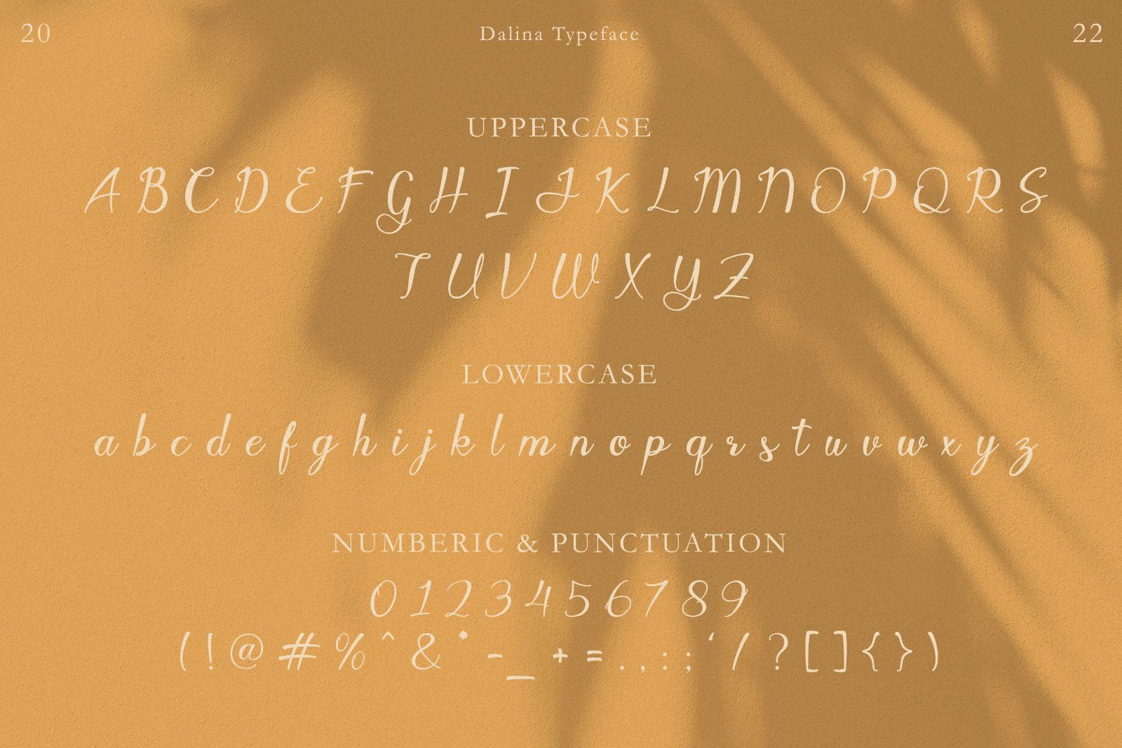Javin - Modern Script Font — image 8