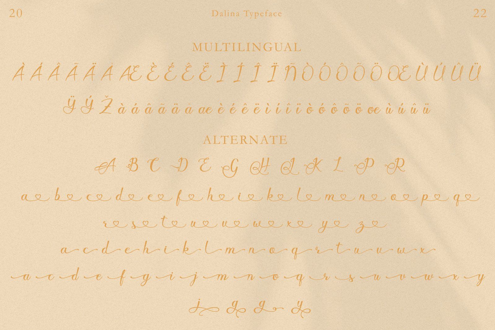 Javin - Modern Script Font — image 9