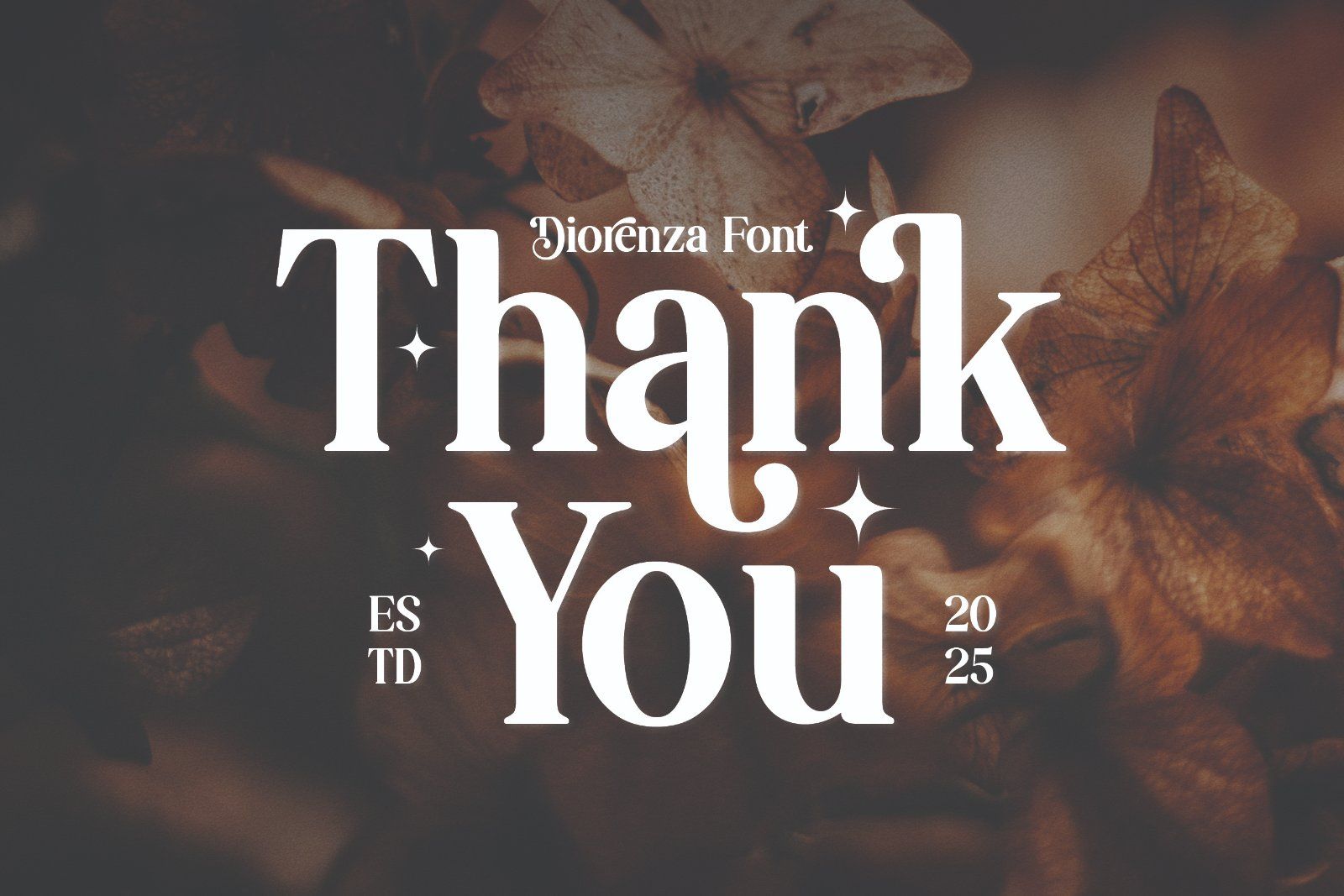 Diorenza - Beautiful Retro Serif Font — image 10
