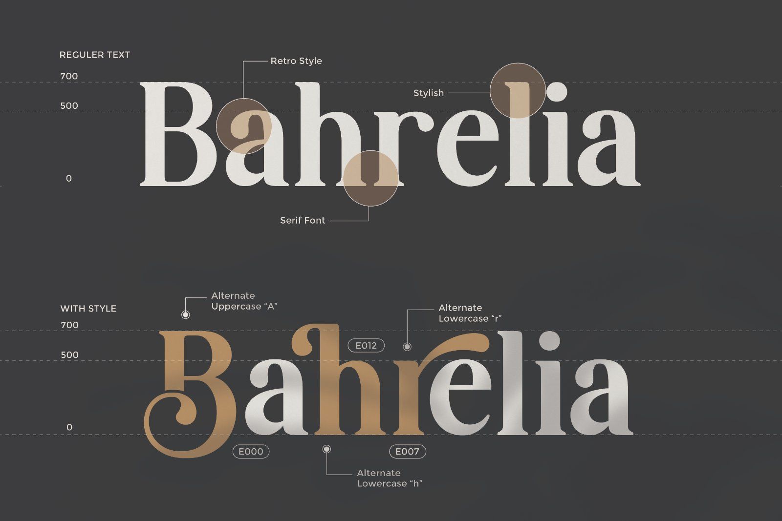 Diorenza - Beautiful Retro Serif Font — image 5