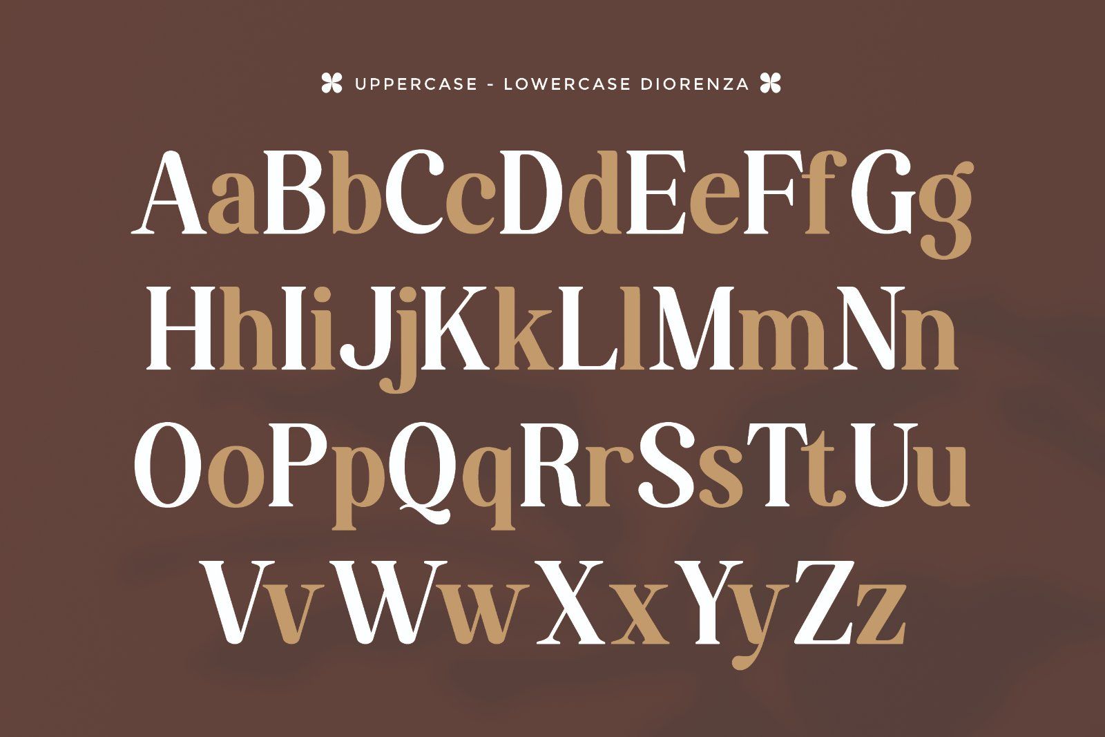 Diorenza - Beautiful Retro Serif Font — image 7