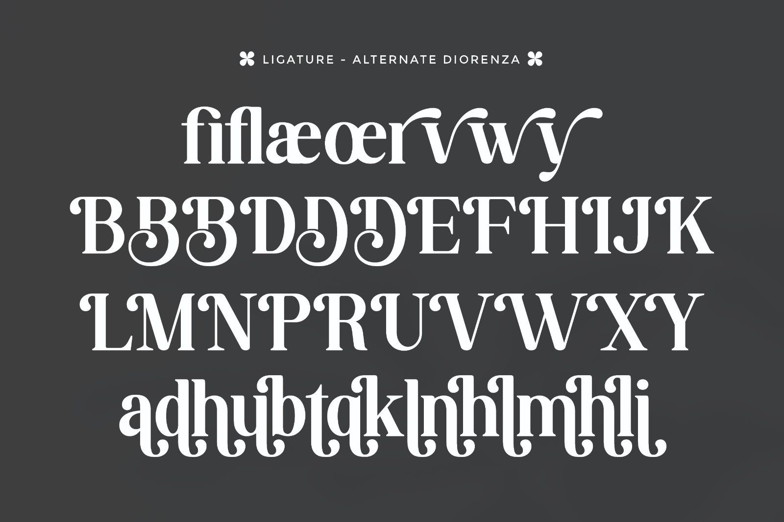 Diorenza - Beautiful Retro Serif Font — image 9