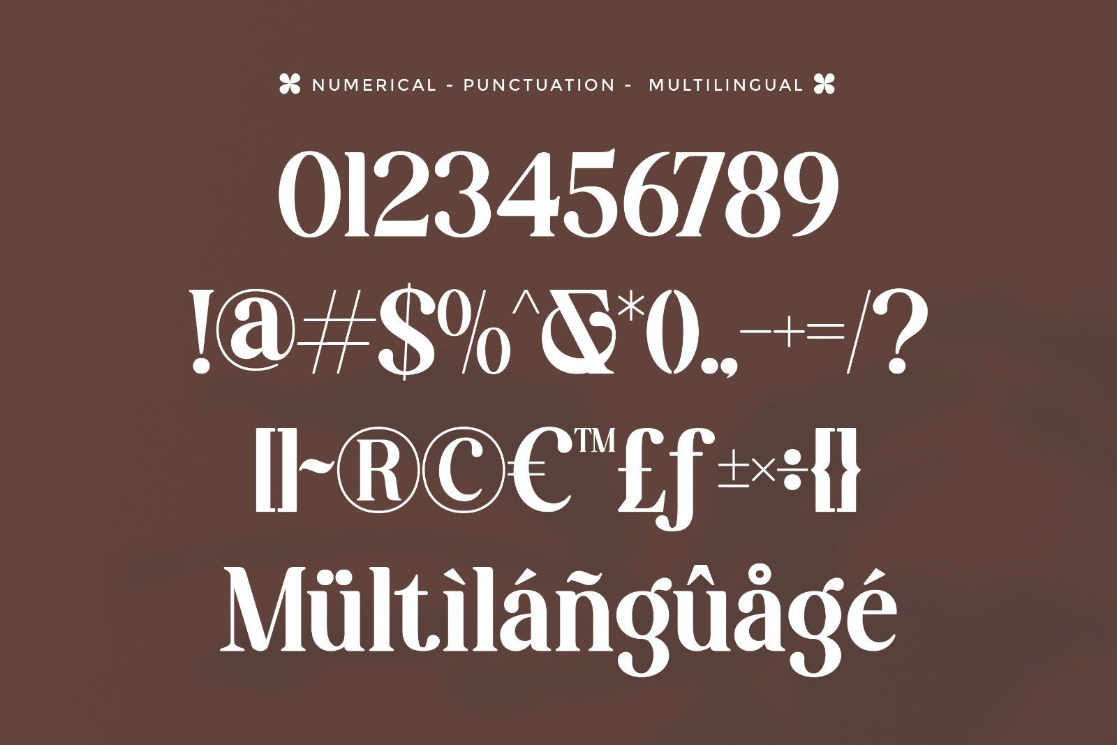 Diorenza - Beautiful Retro Serif Font — image 8