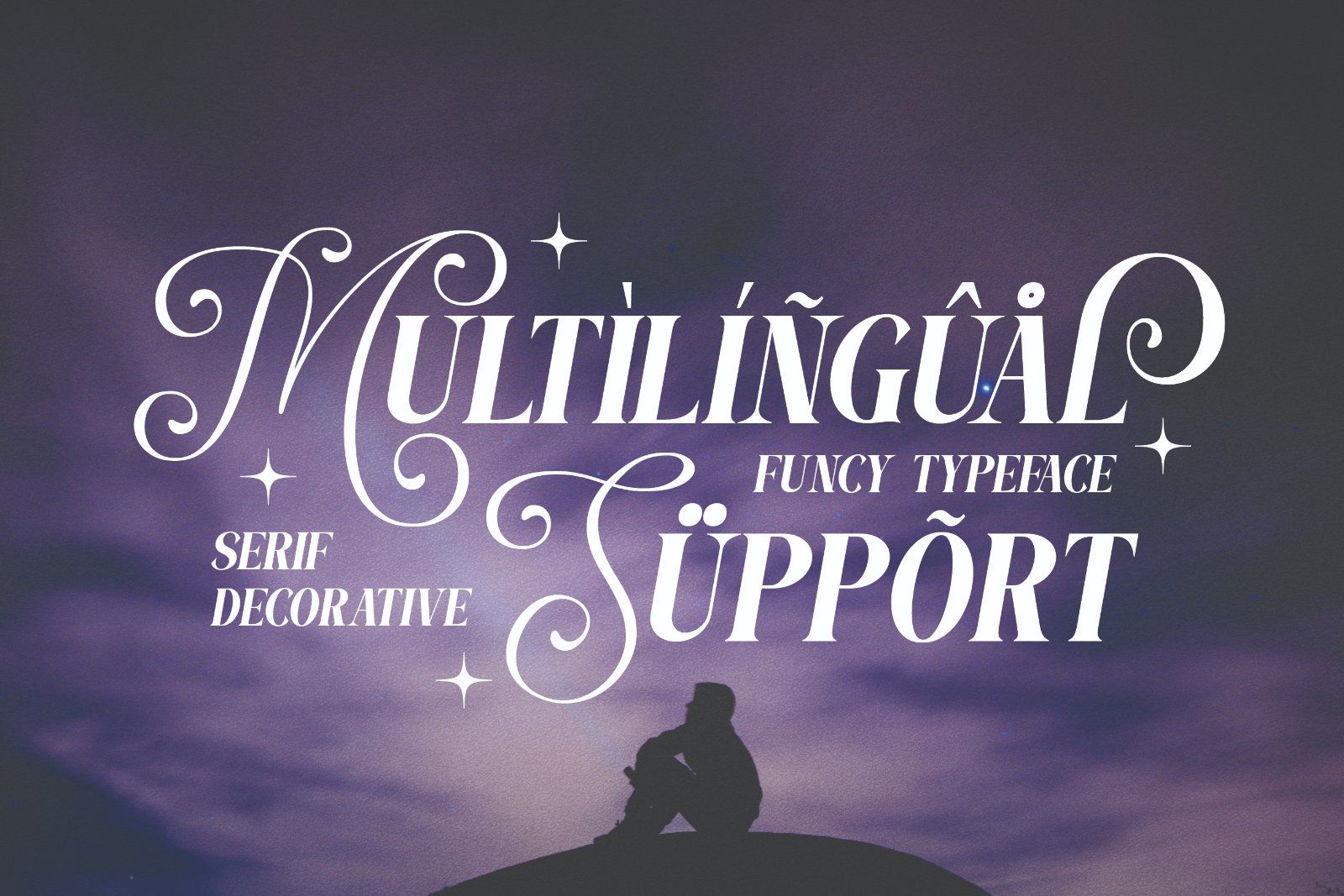 Funcy - Serif Display Font — image 10