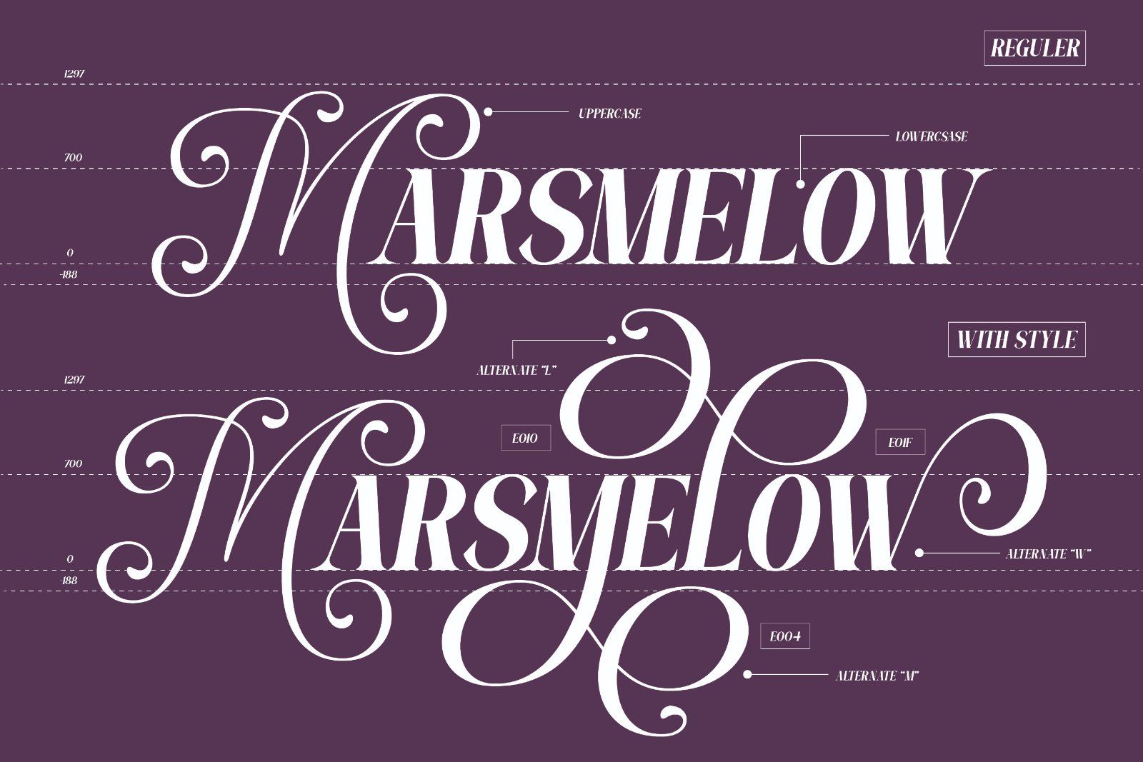 Funcy - Serif Display Font — image 5