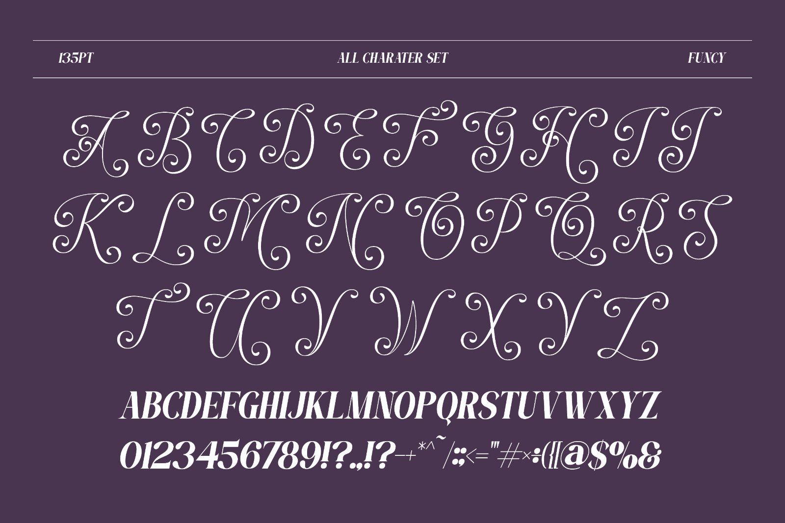 Funcy - Serif Display Font — image 8