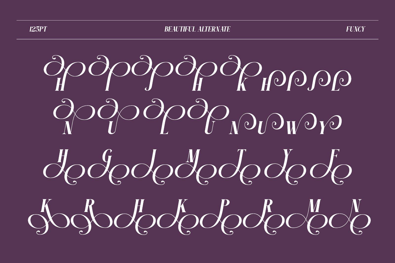 Funcy - Serif Display Font — image 9