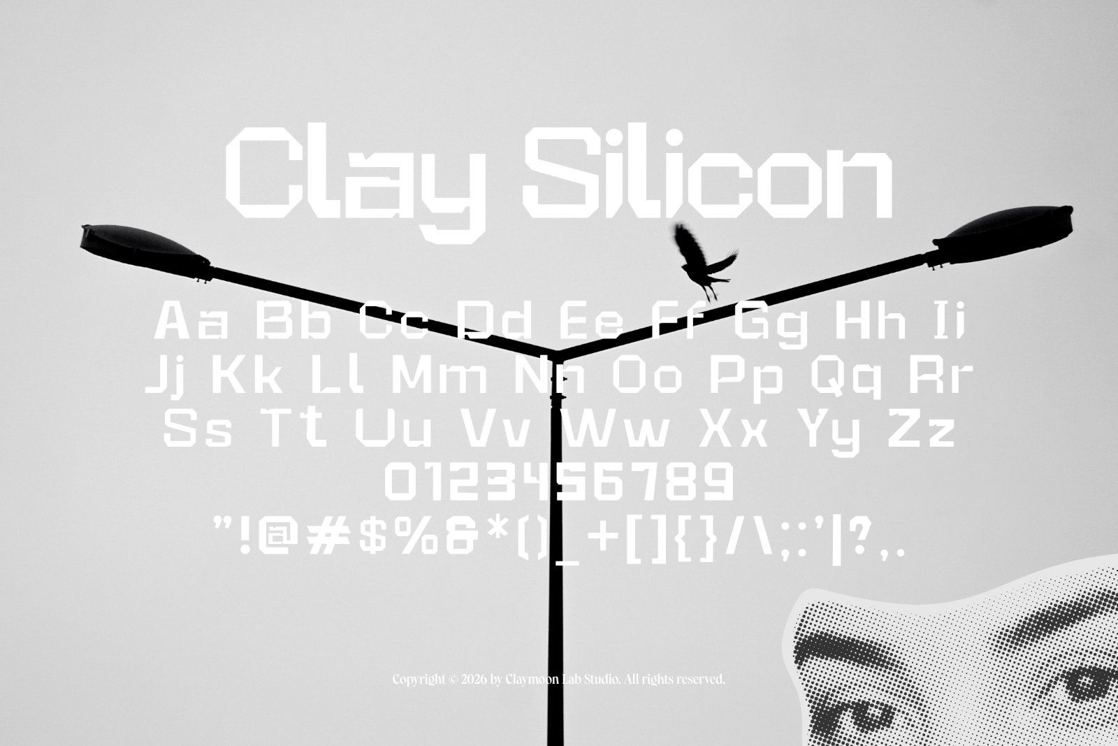 Clay Silicon — Precision Tech Display — image 2