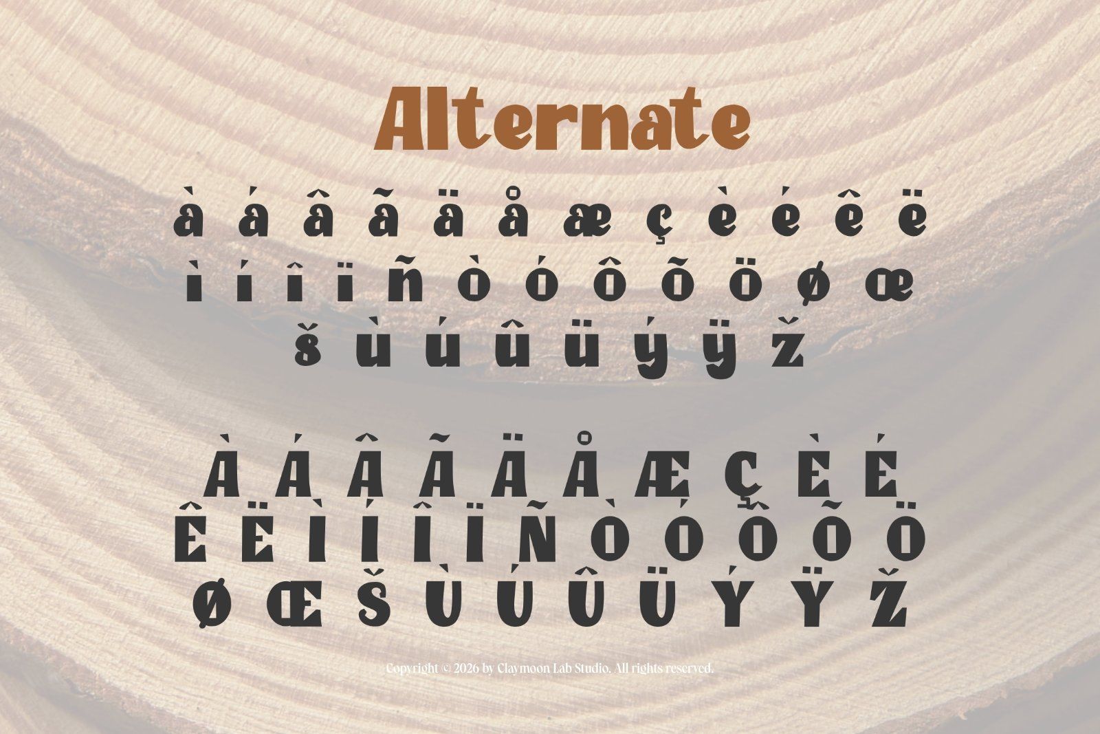 Clay Timber — Heavy Blocky Display Typeface — image 4