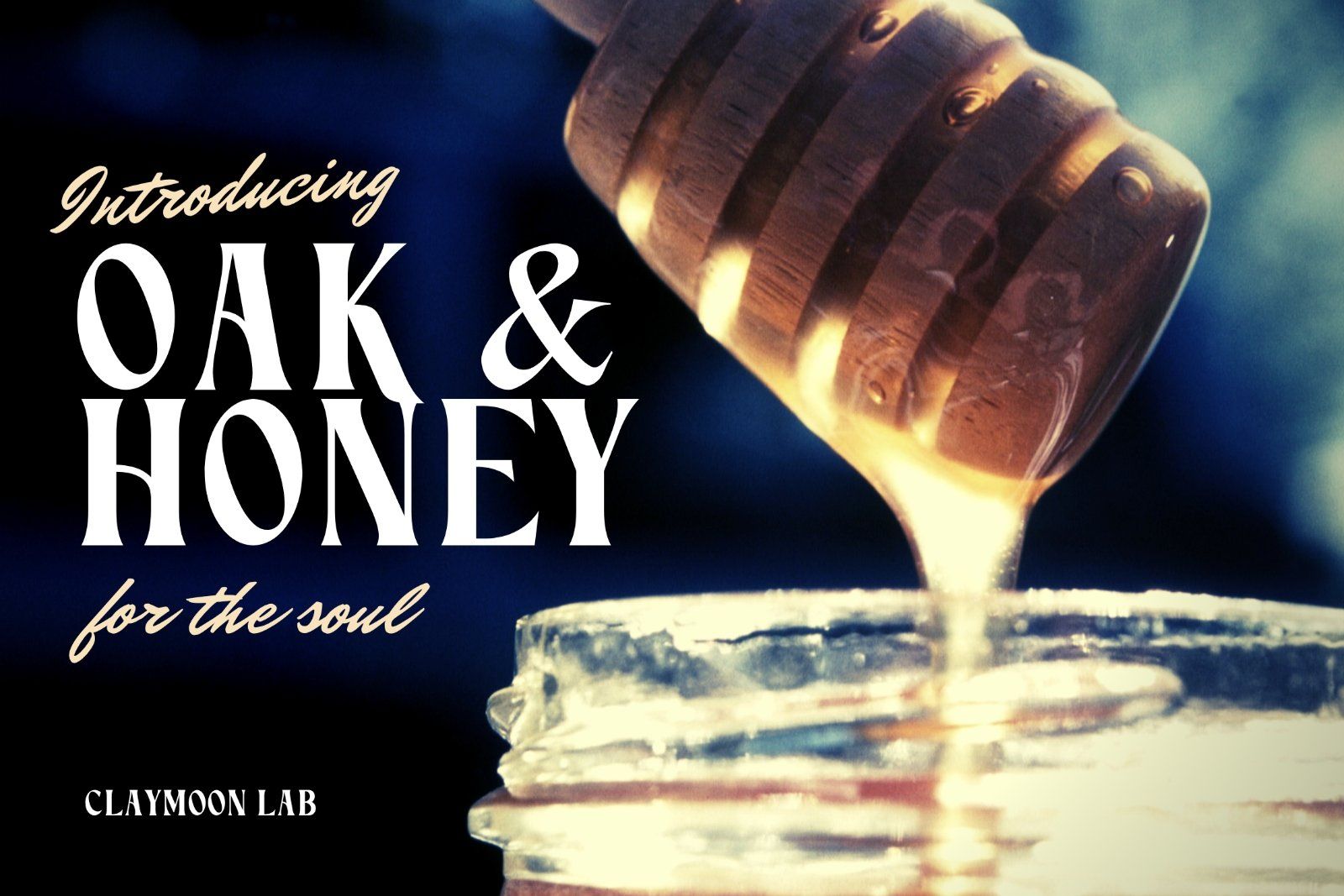 Oakhaven — Bold Retro Luxury Serif — image 5