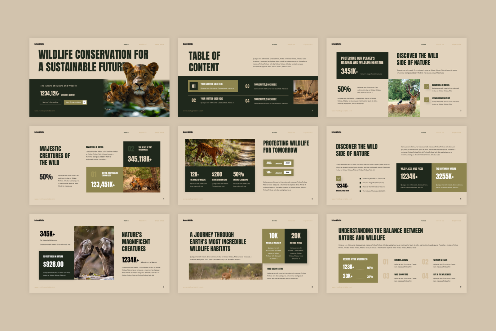 Nature Wildlife Presentation — image 2