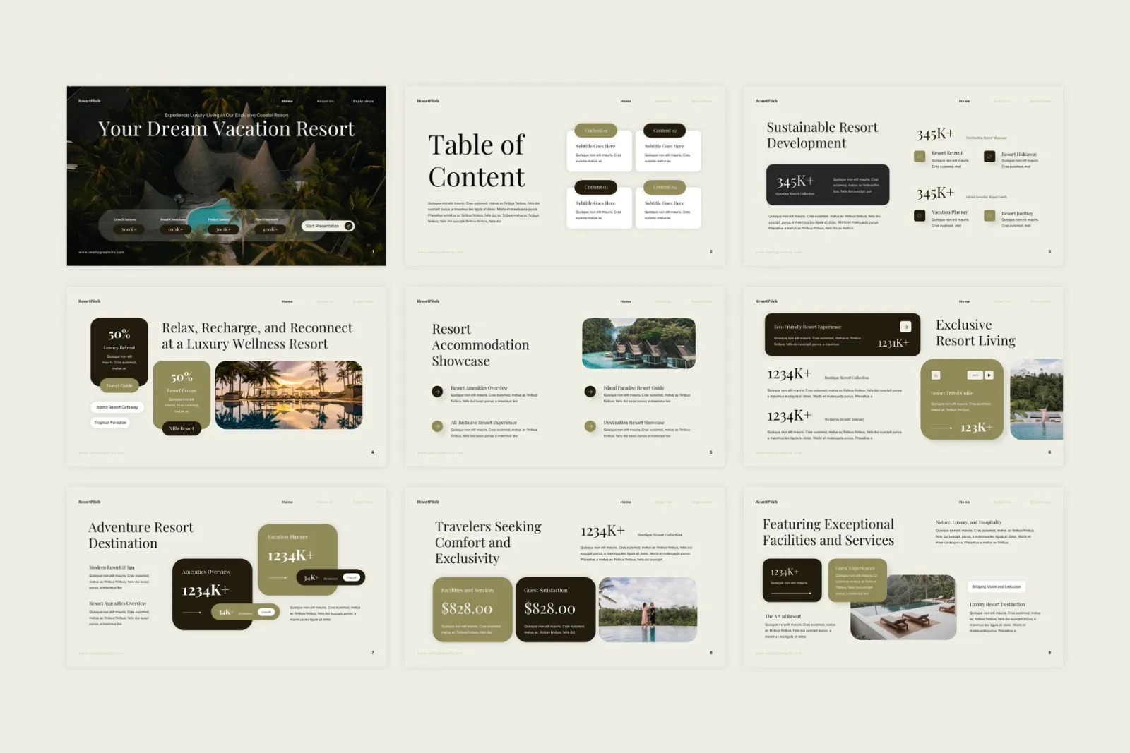 Resort Pitch Deck — image 2