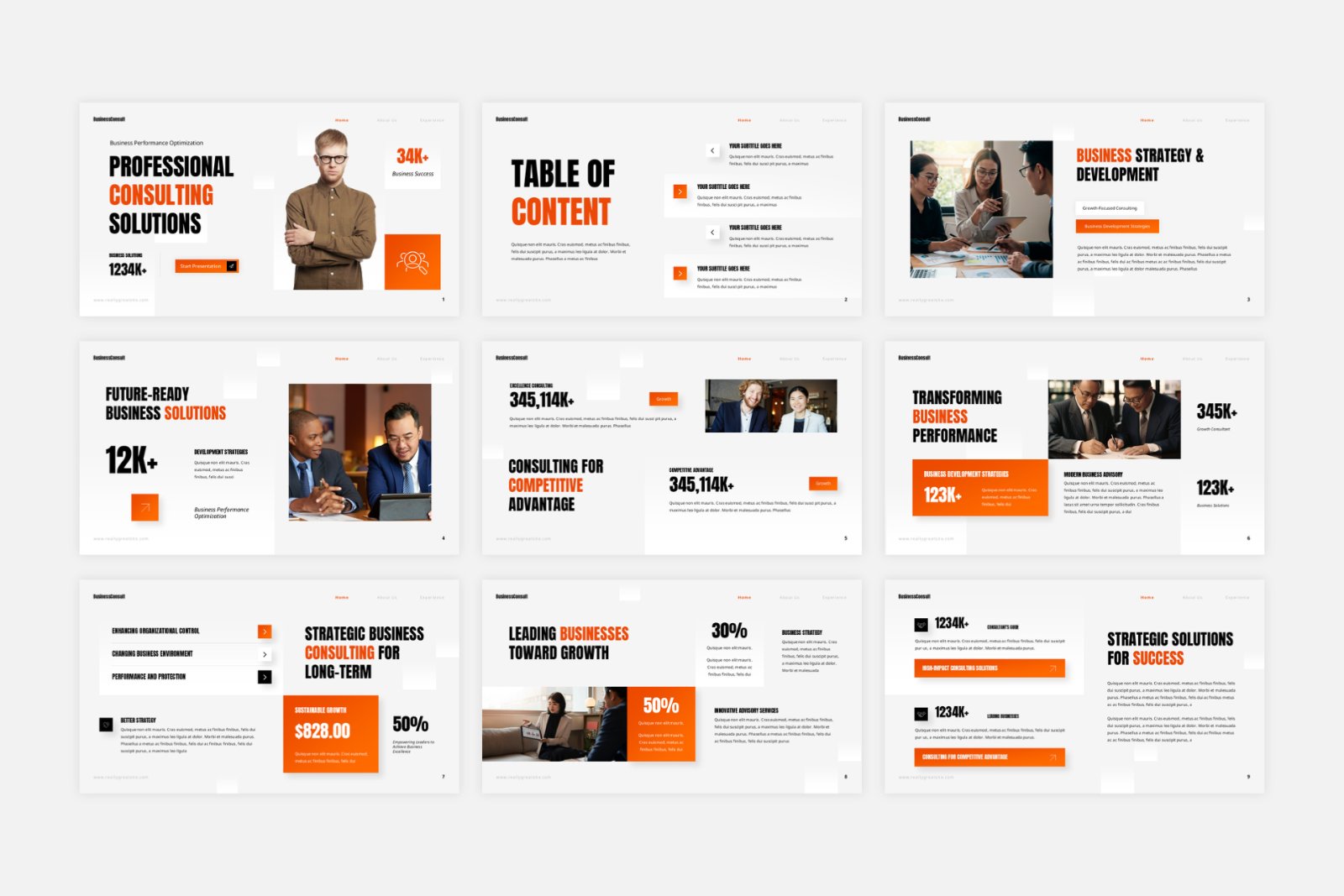 Business Consultant Presentation — image 2