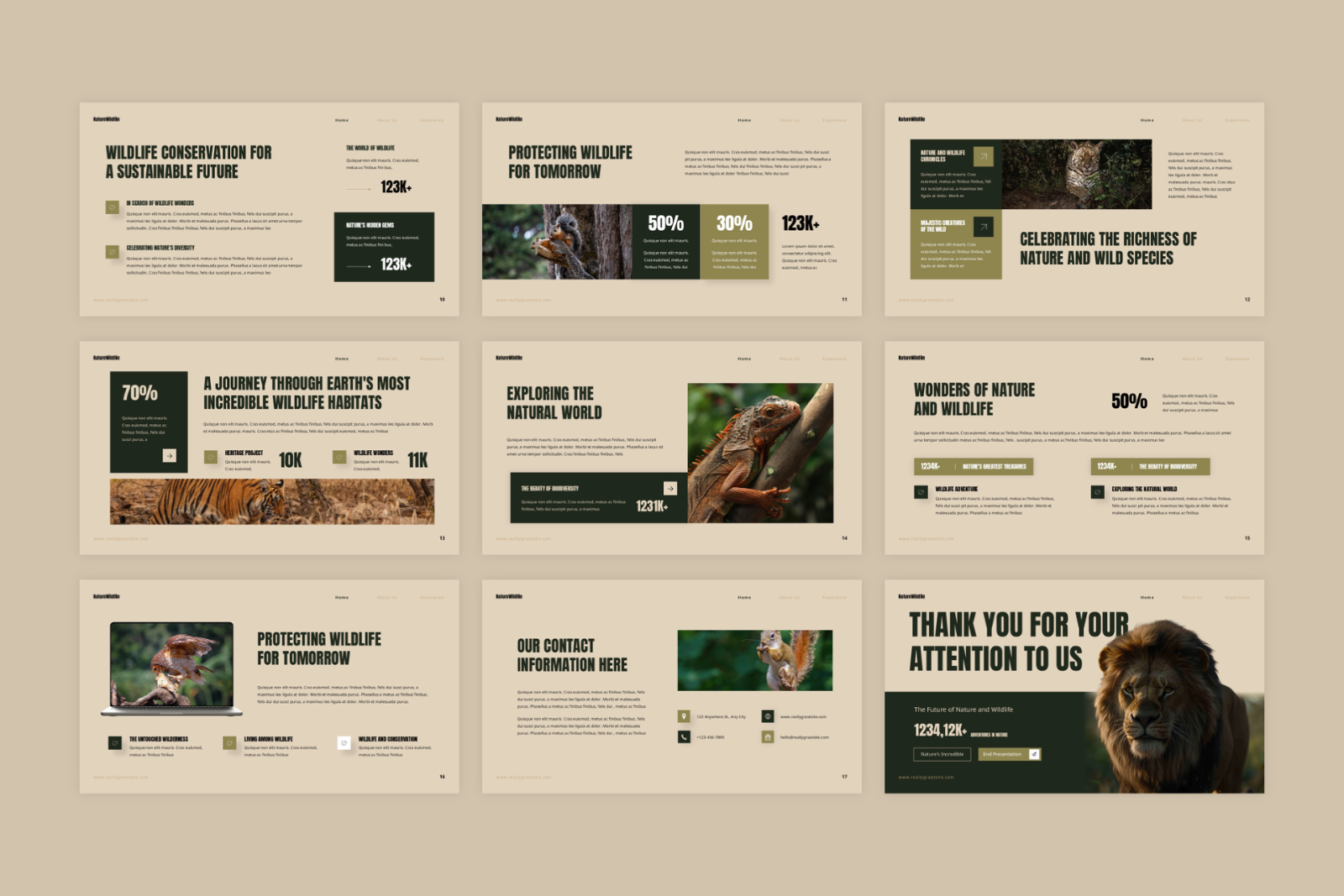 Nature Wildlife Presentation — image 3