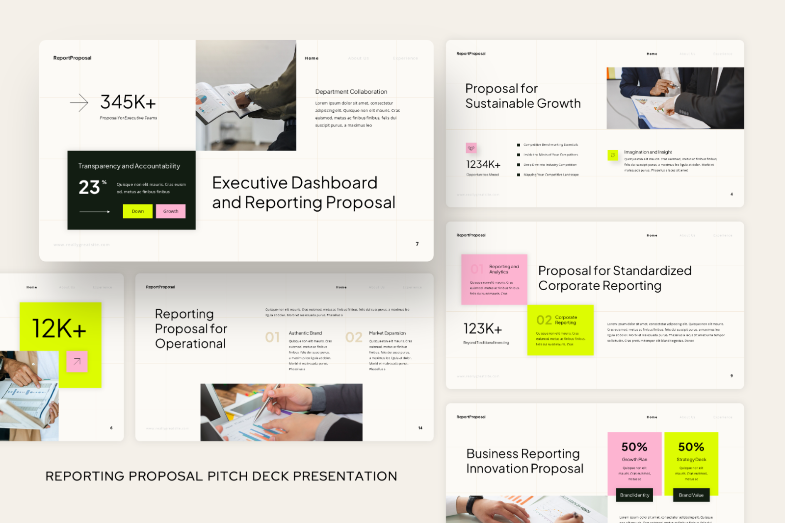 Reporting Proposal Pitch Deck Presentation — image 4
