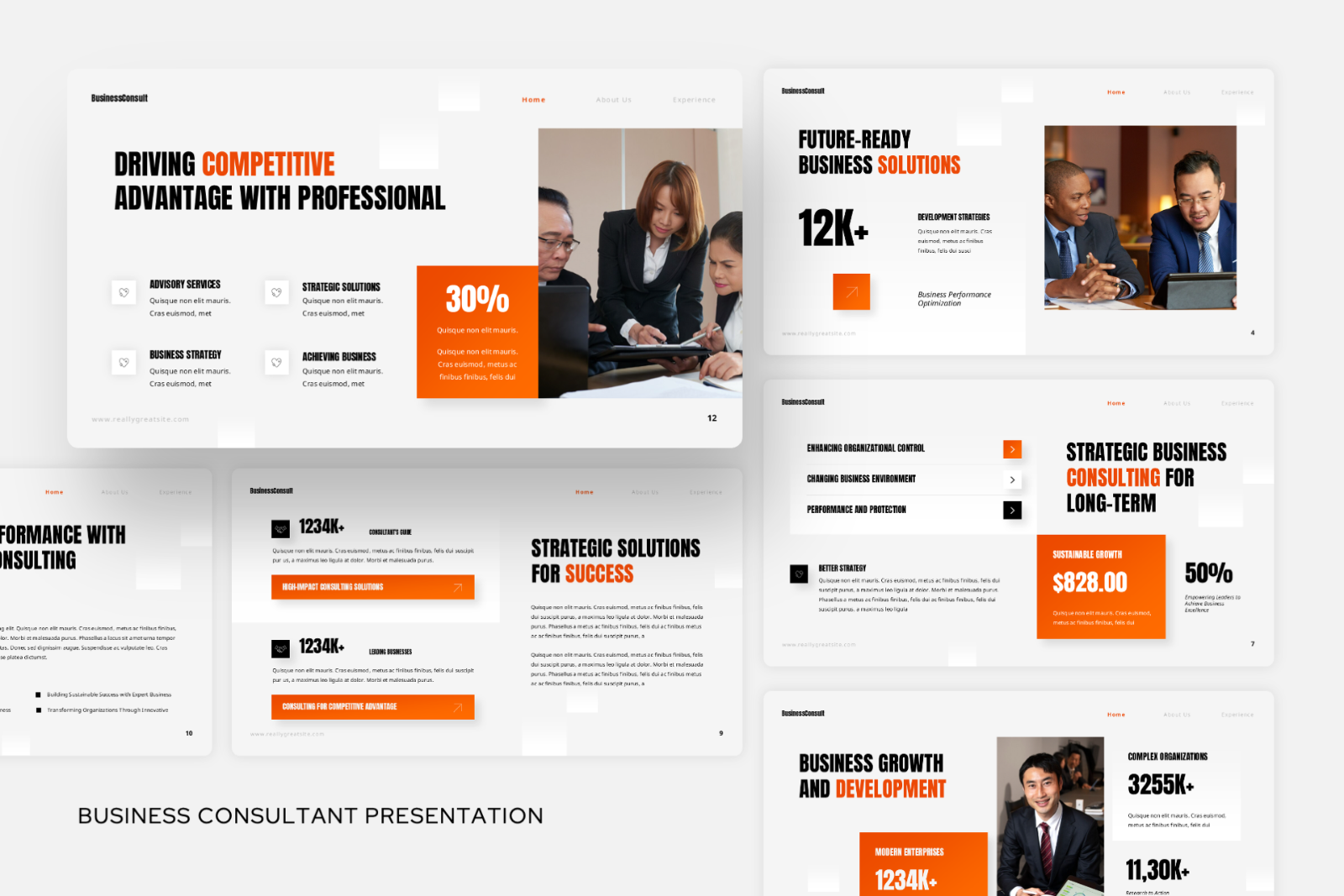 Business Consultant Presentation — image 4
