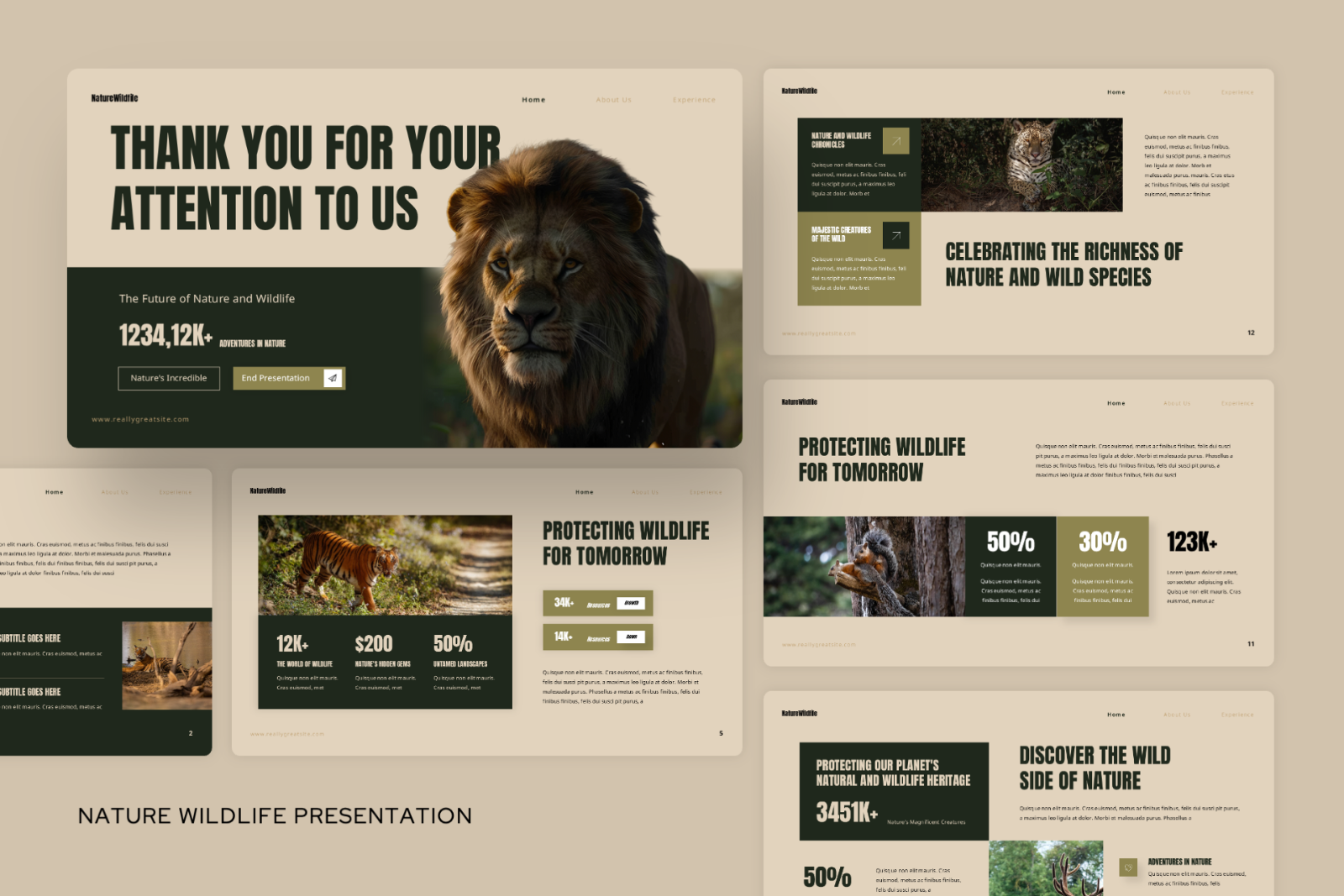Nature Wildlife Presentation — image 4