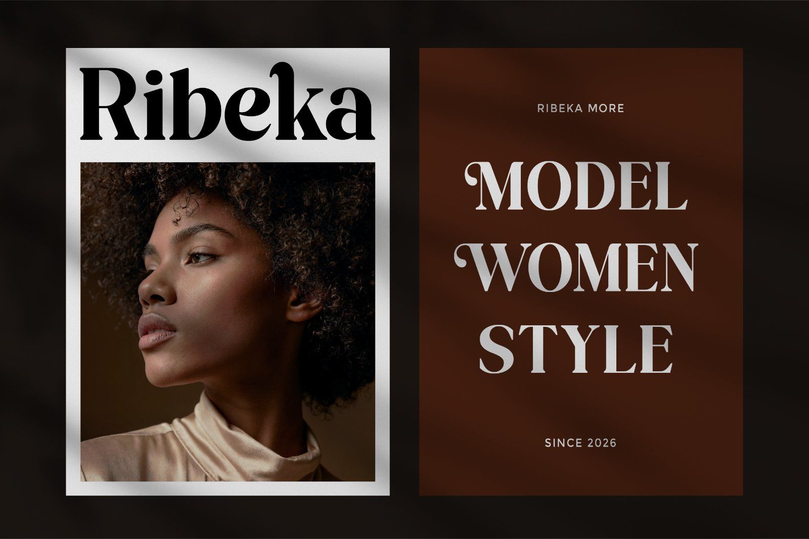 Megako - Stylish Retro Display Font — image 2