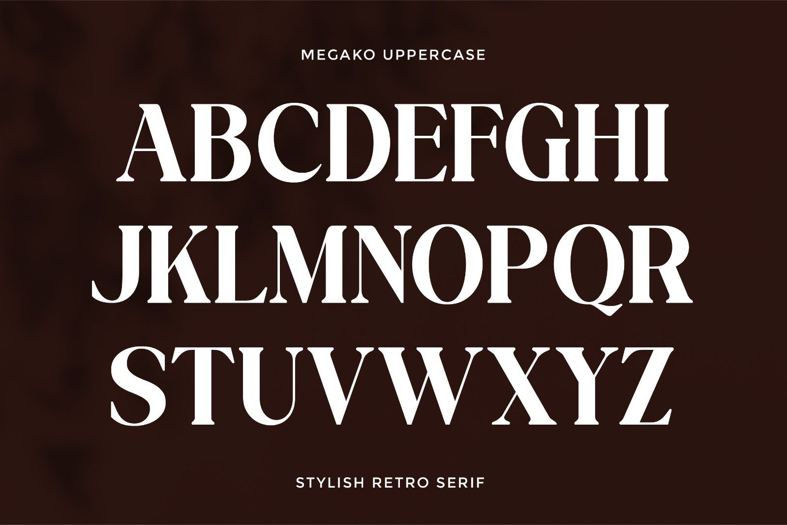 Megako - Stylish Retro Display Font — image 5