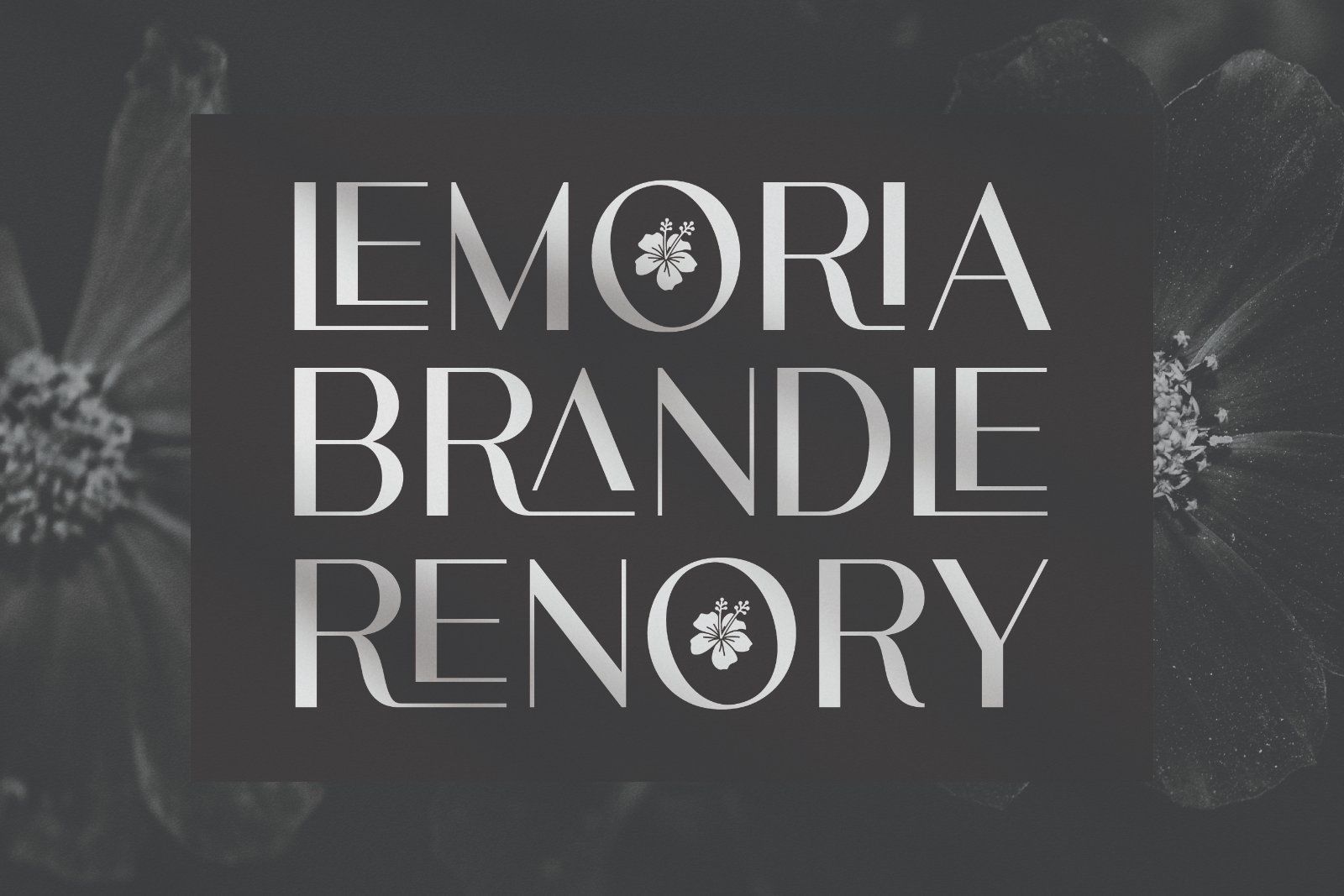 Moorisa - Modern Serif Font — image 3