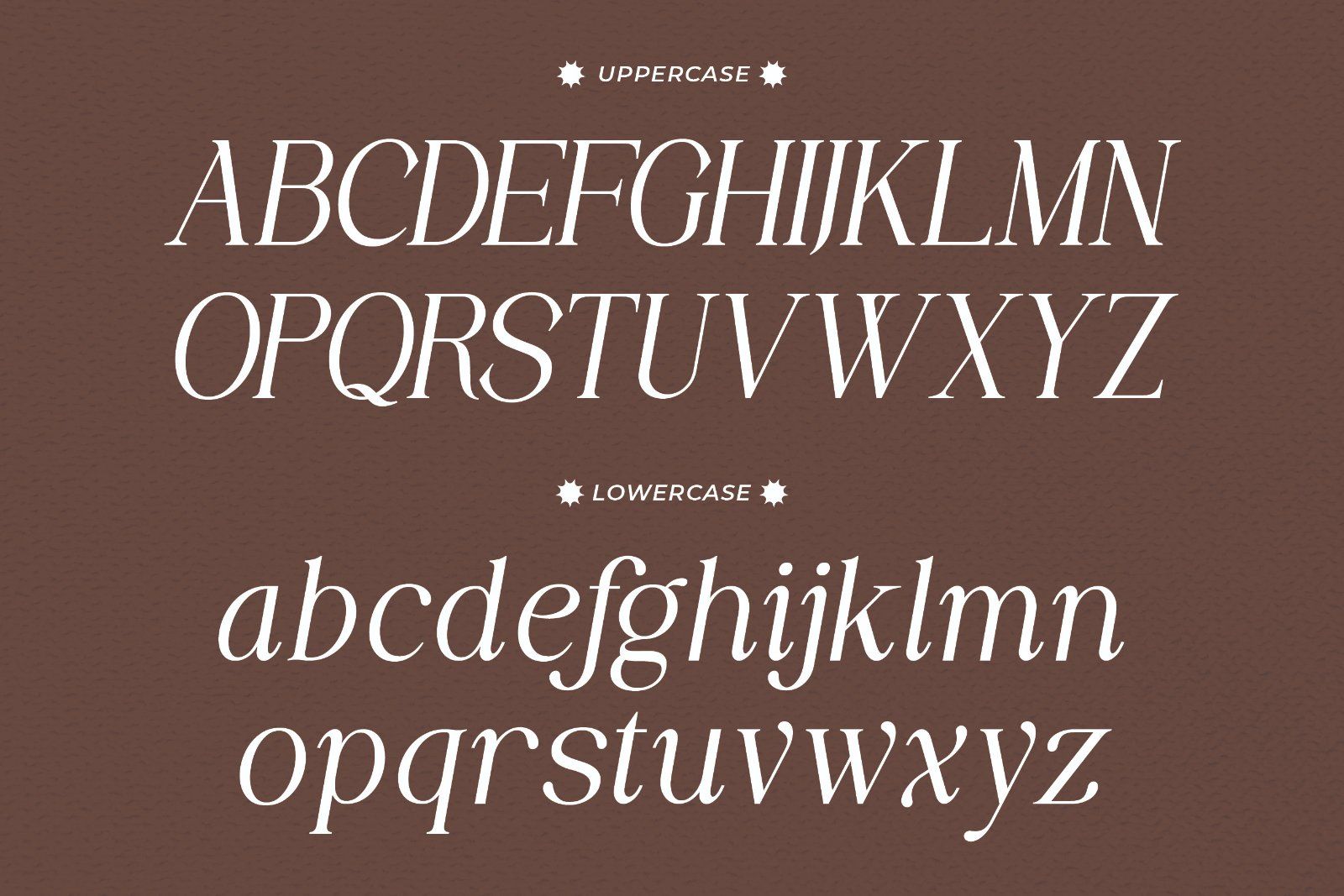 Morient - Elegant Italic Serif Font — image 8