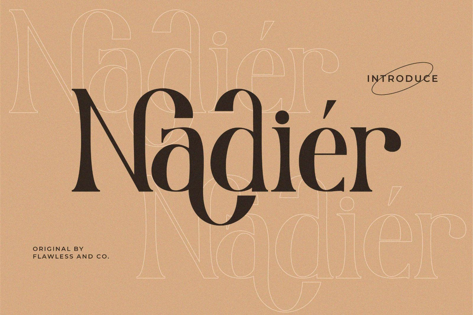 Nadier - Stylish Serif Font — image 1
