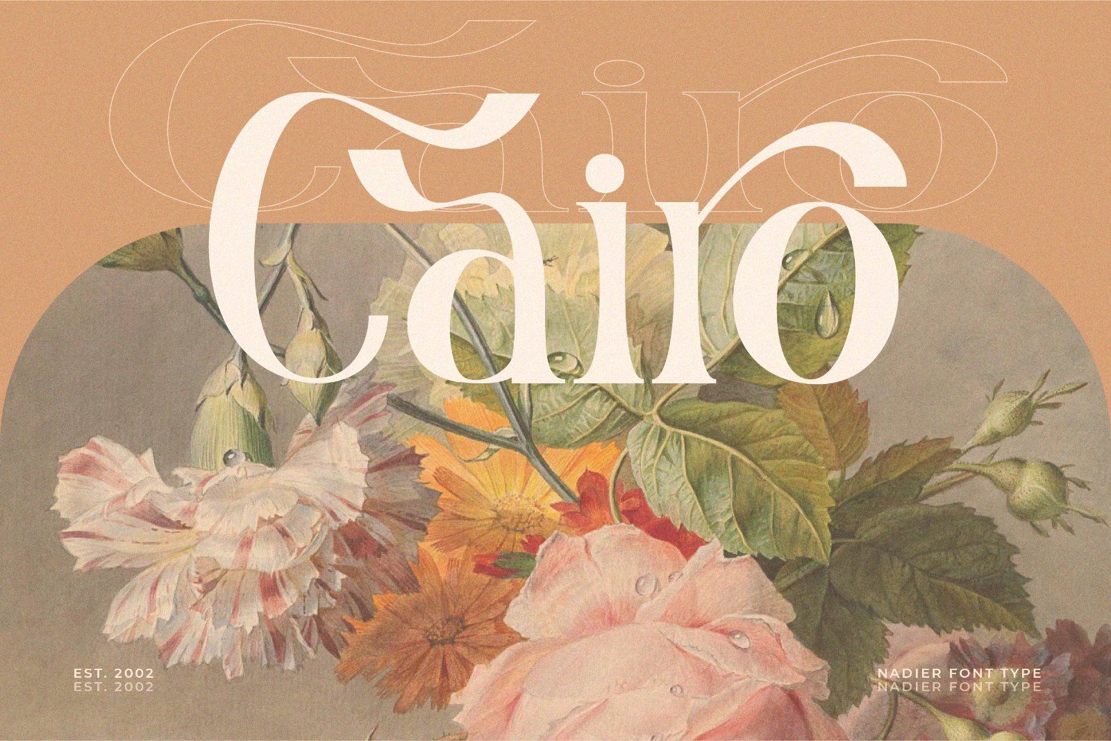 Nadier - Stylish Serif Font — image 5