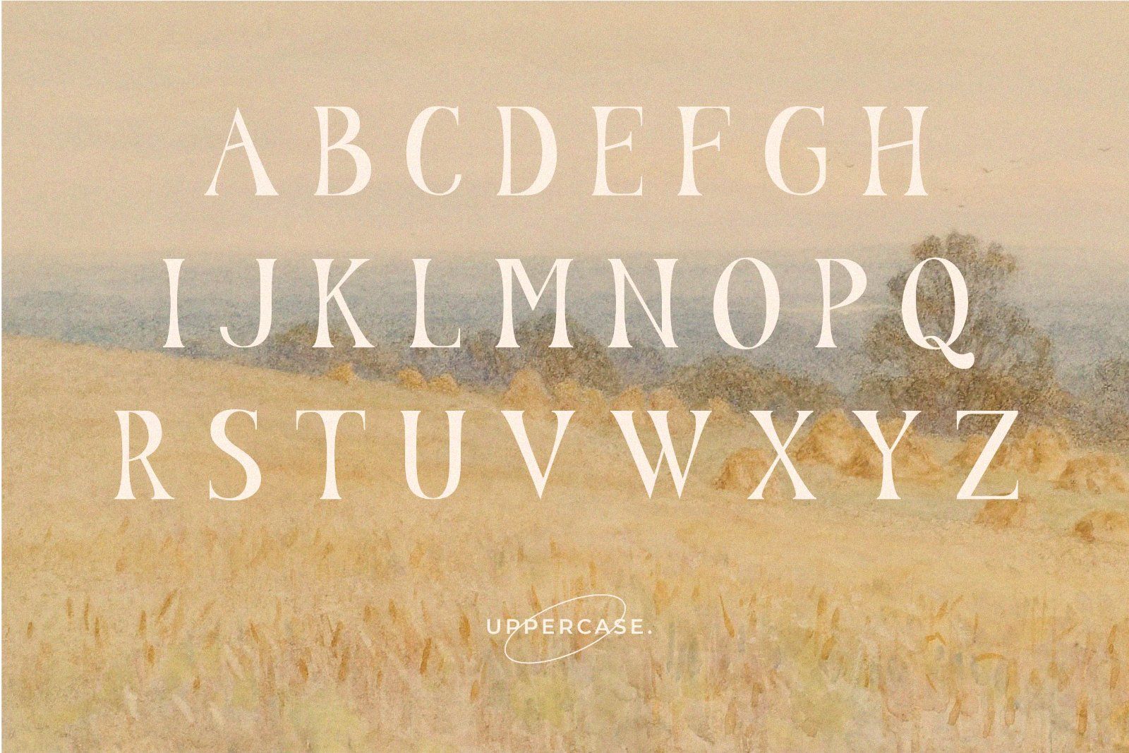 Nadier - Stylish Serif Font — image 7