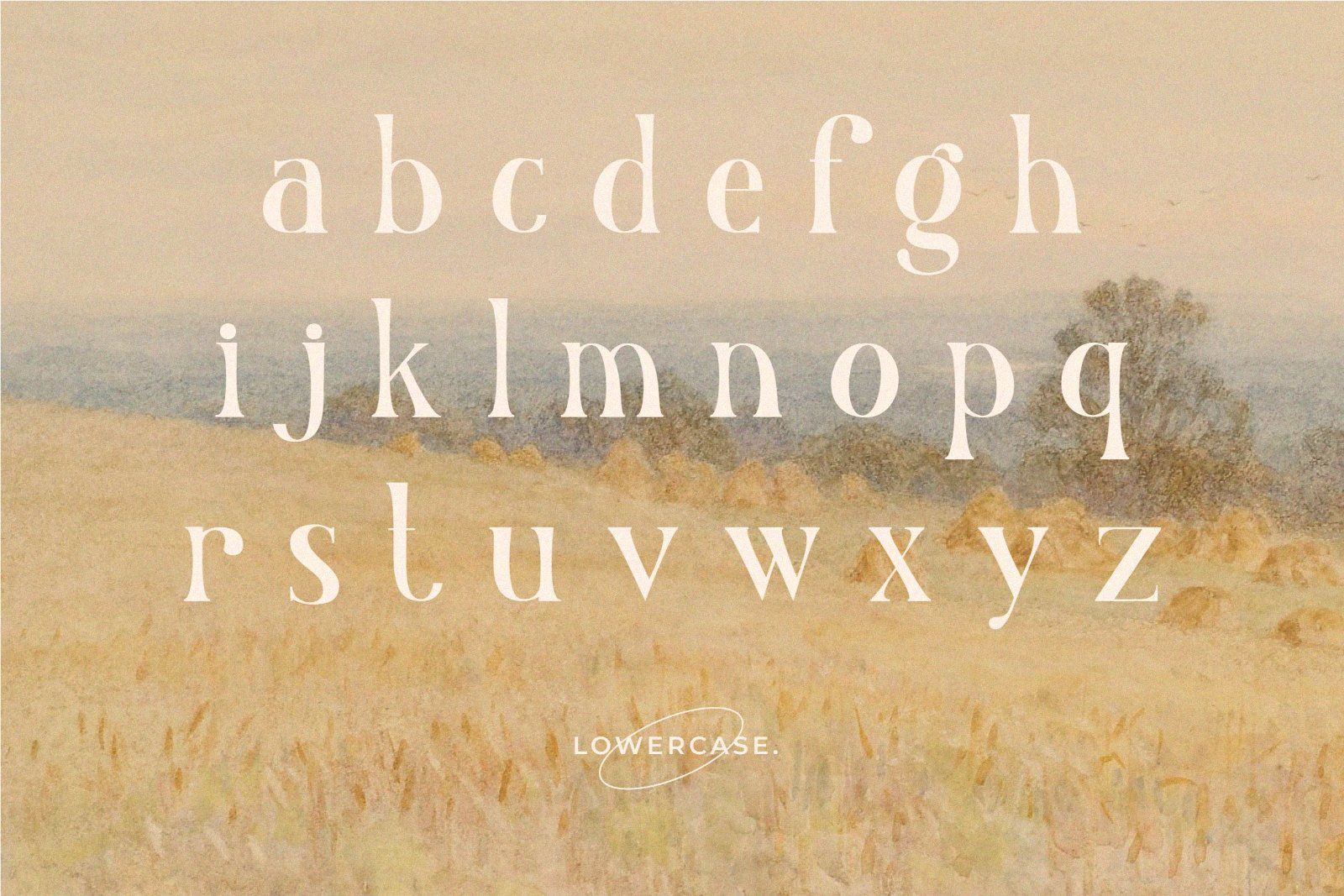 Nadier - Stylish Serif Font — image 8