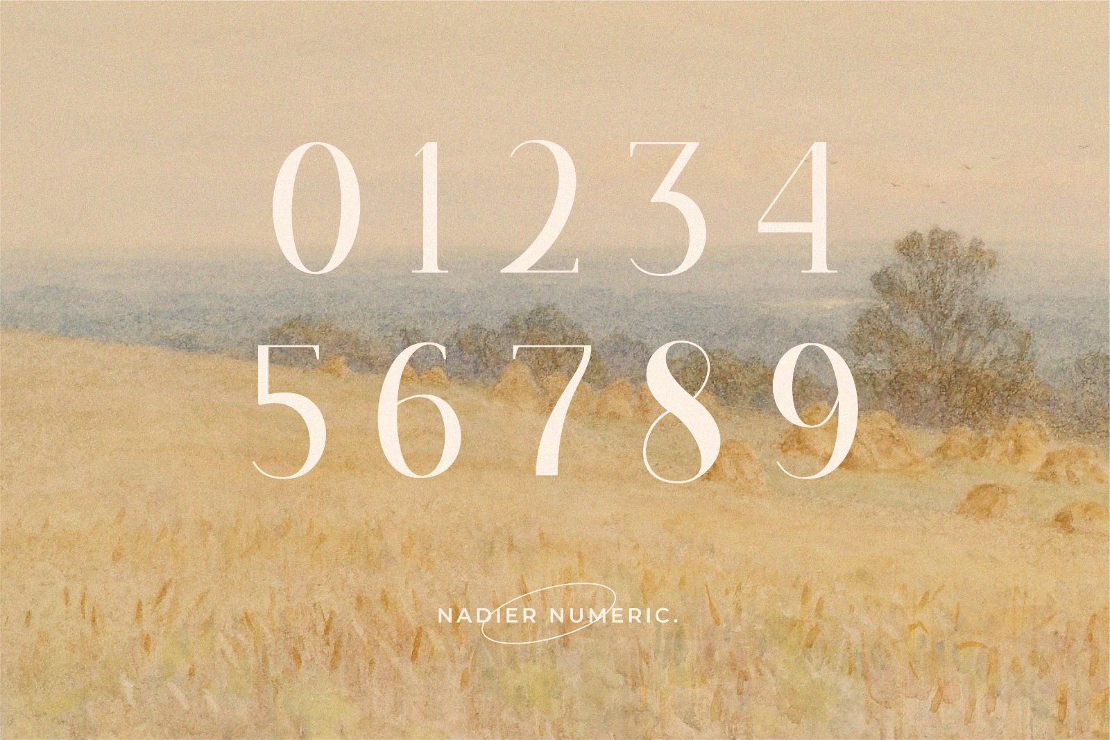 Nadier - Stylish Serif Font — image 9