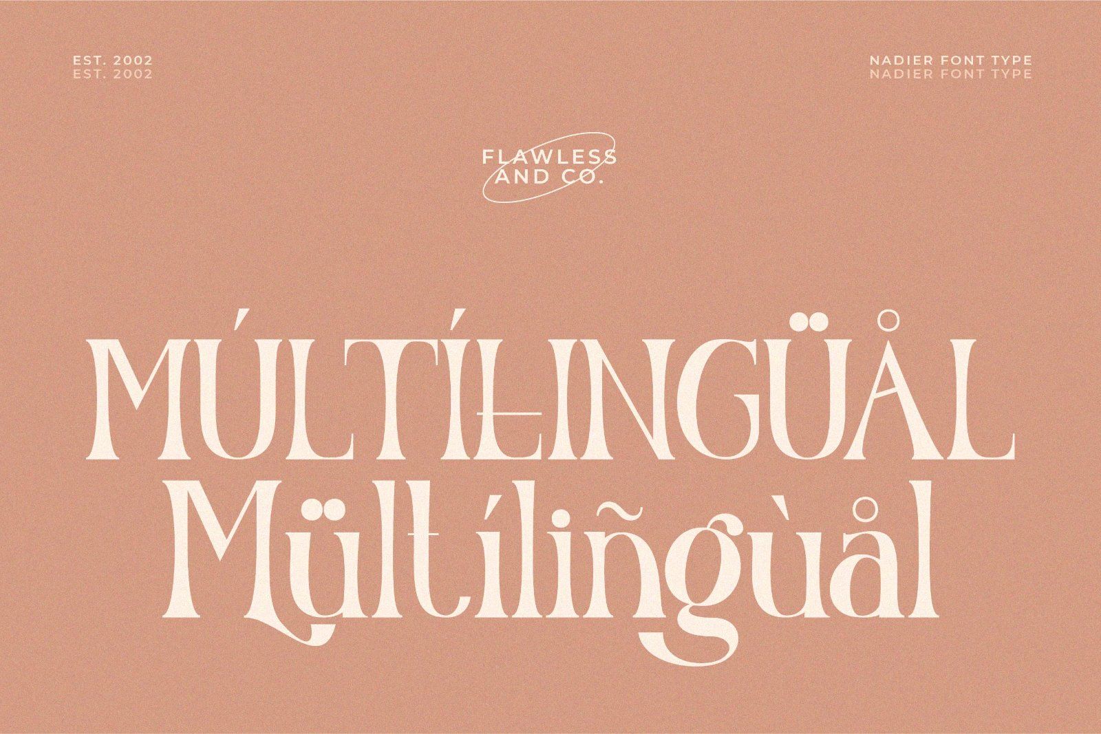 Nadier - Stylish Serif Font — image 10