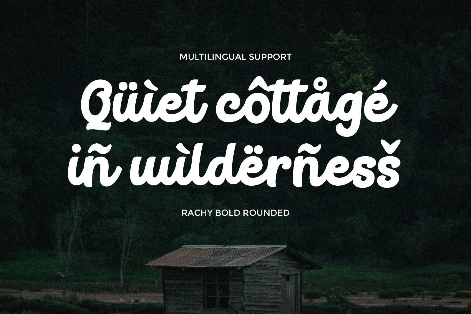 Rachy - Bold Script Font — image 10