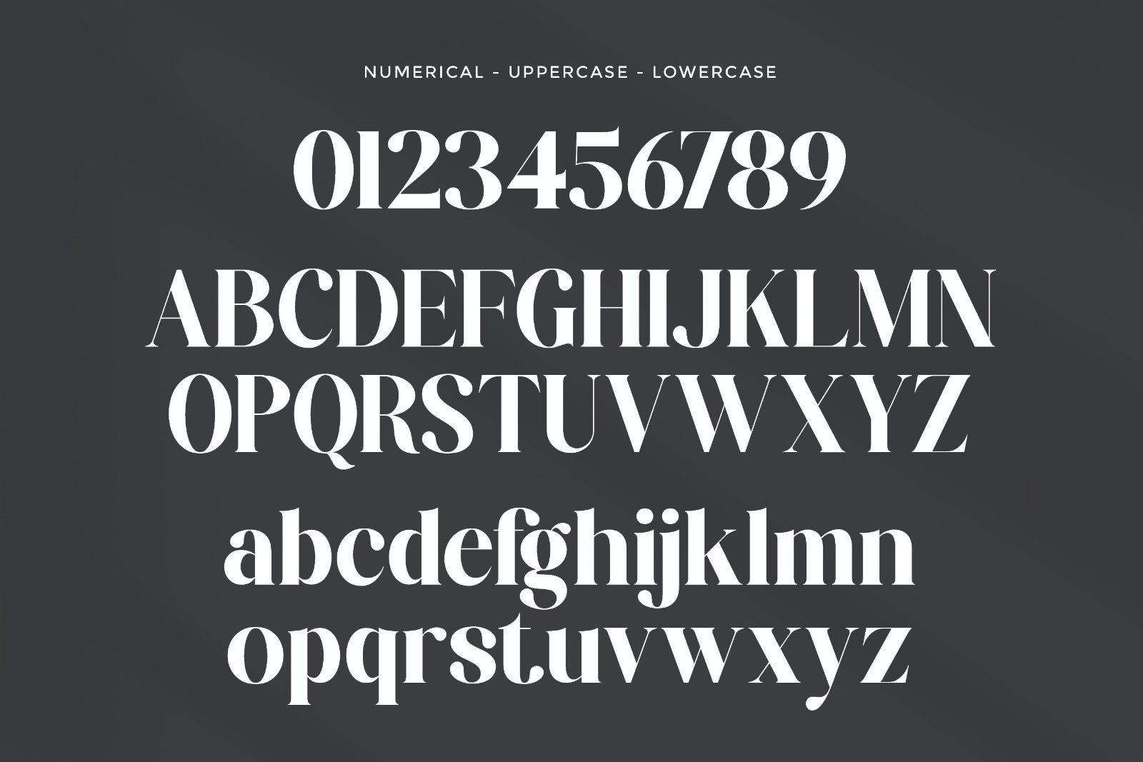 Renshie - Stylish Retro Serif Font — image 7
