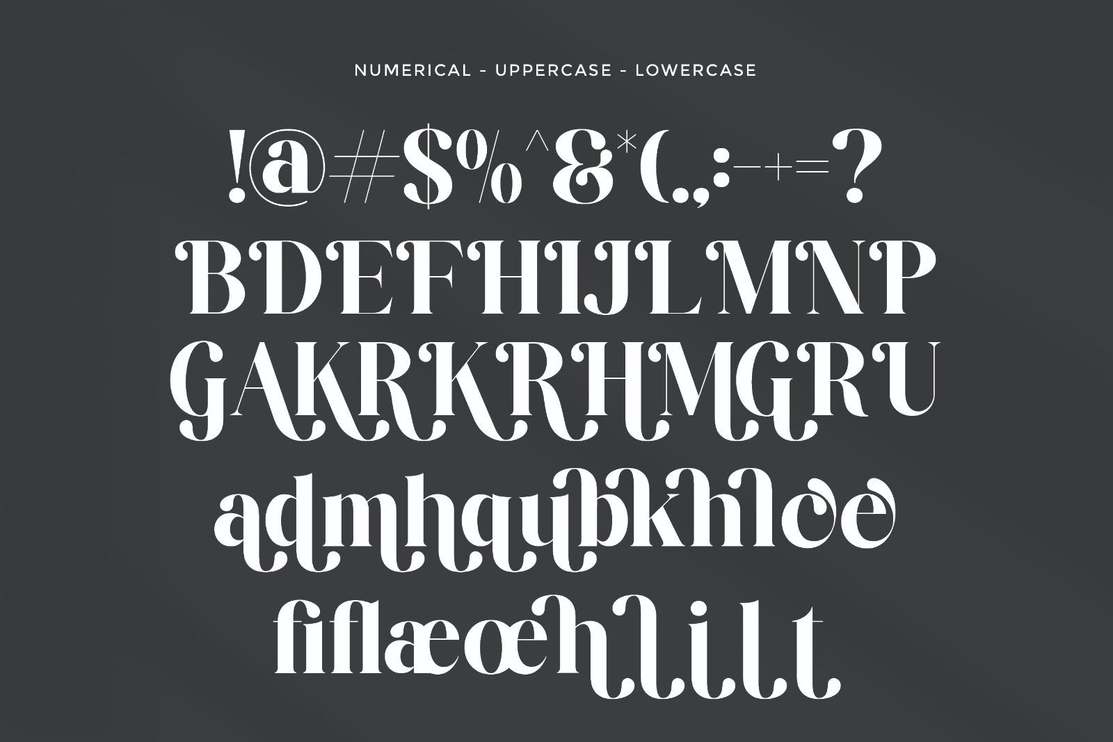 Renshie - Stylish Retro Serif Font — image 8