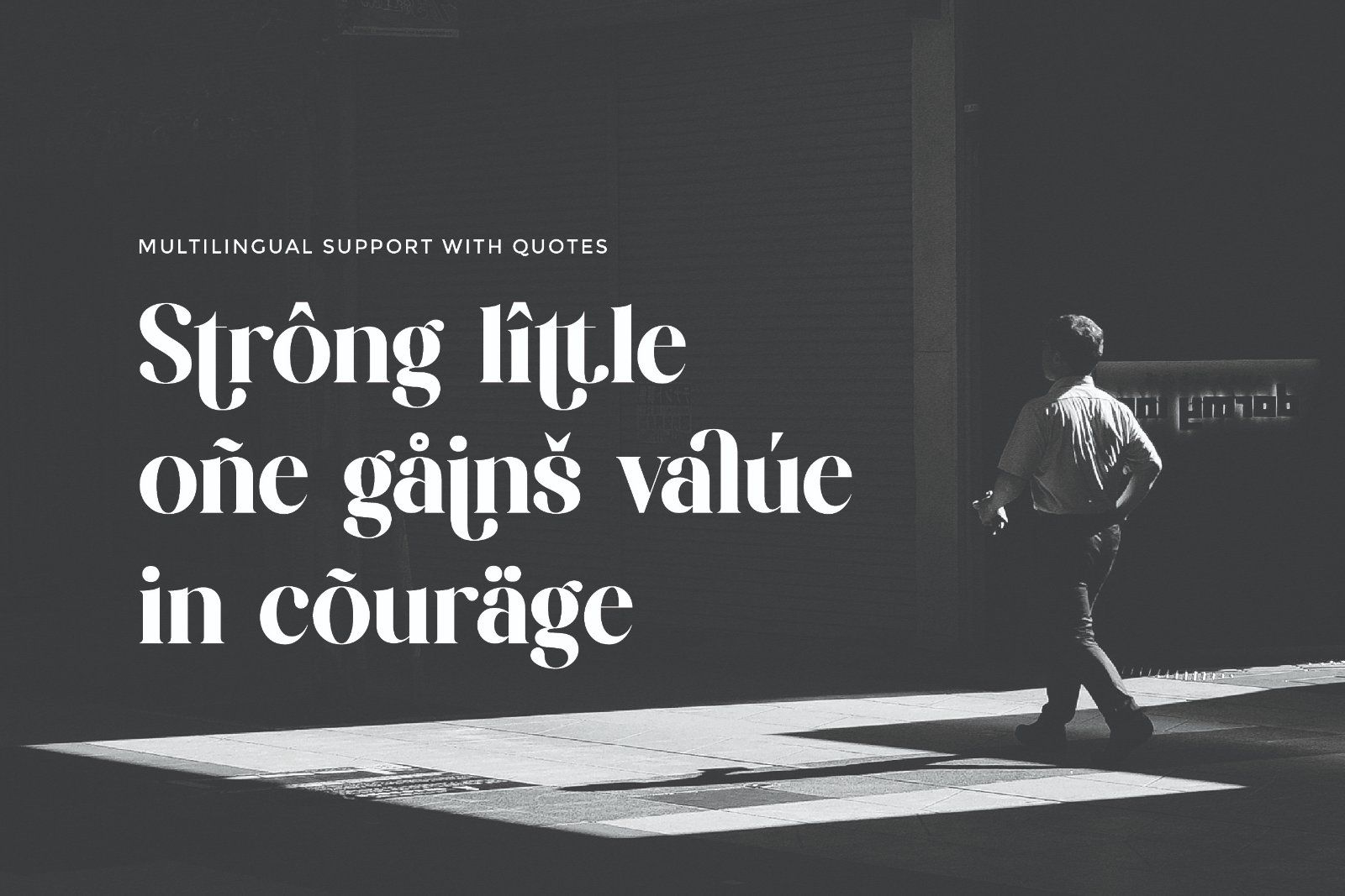 Renshie - Stylish Retro Serif Font — image 9