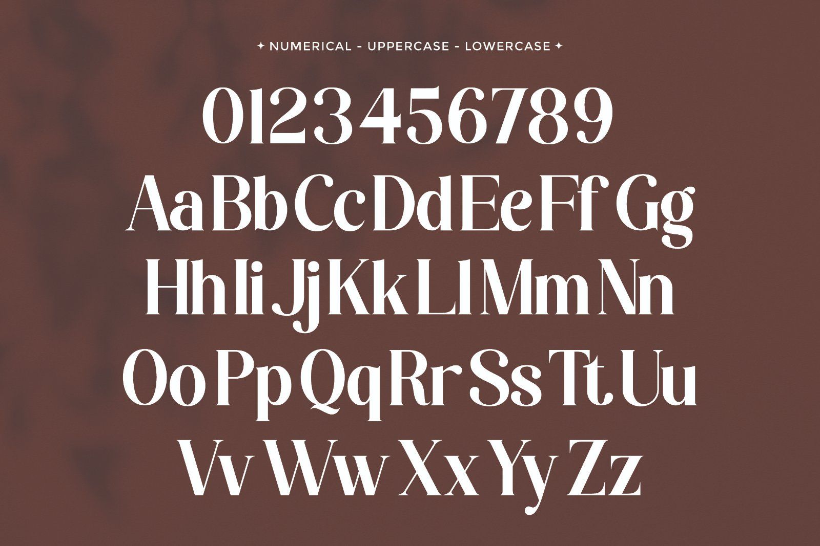 Robelia - Stylish Retro Serif Font — image 8