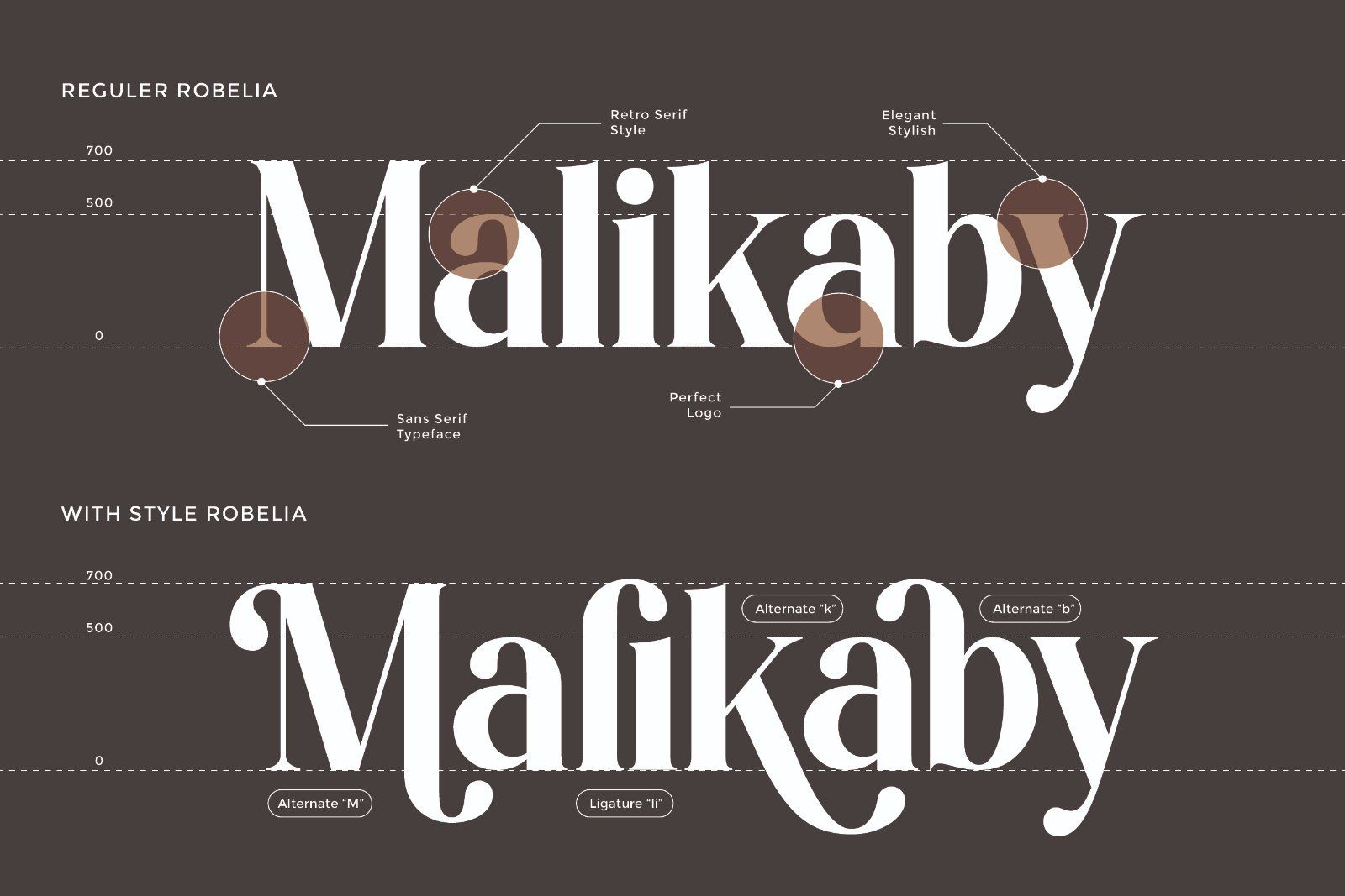Robelia - Stylish Retro Serif Font — image 5