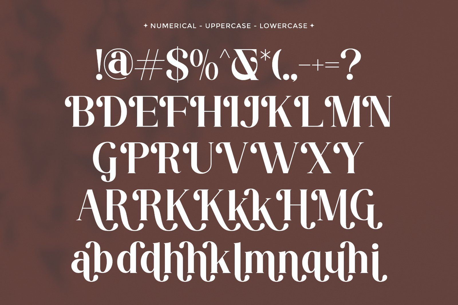 Robelia - Stylish Retro Serif Font — image 9
