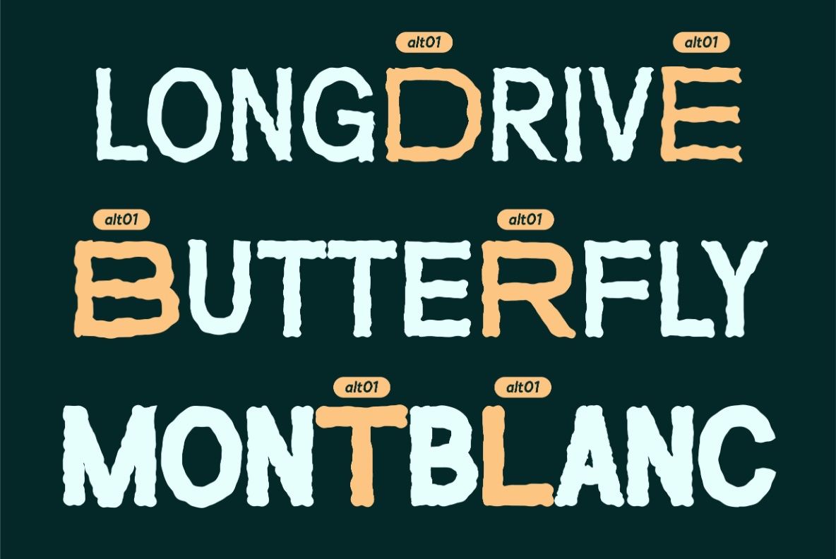 VT Roughney – Handdrawn Font — image 11