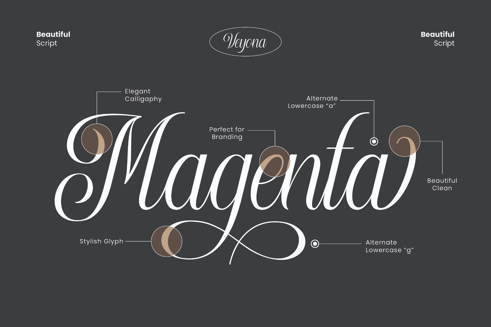 Veyona - Calligraphy Script Font — image 5