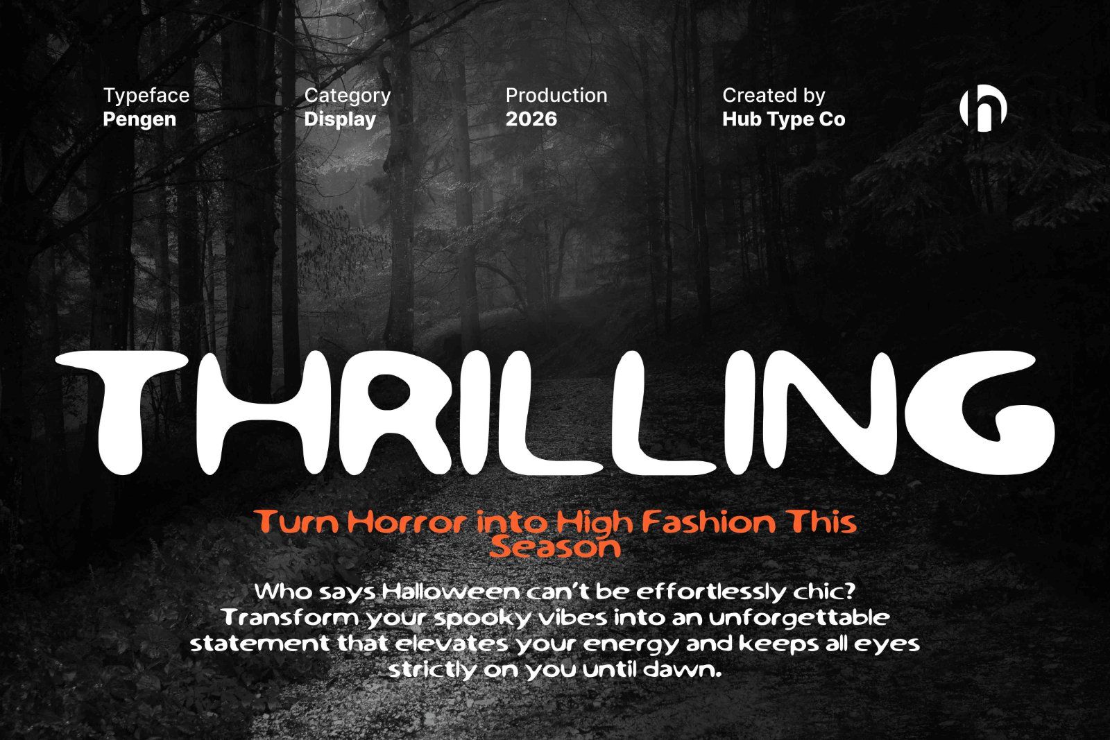 Pengen – Handdrawn Display Typeface — image 4