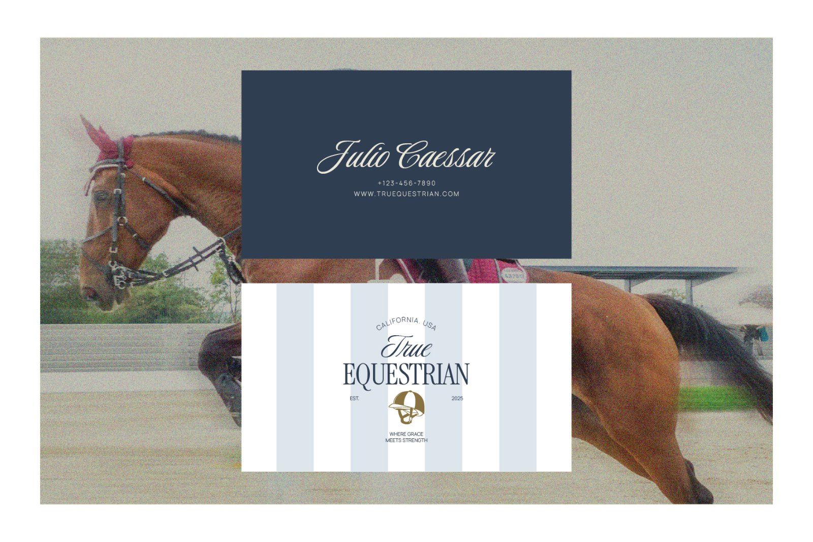Equestrian Graphic — image 8