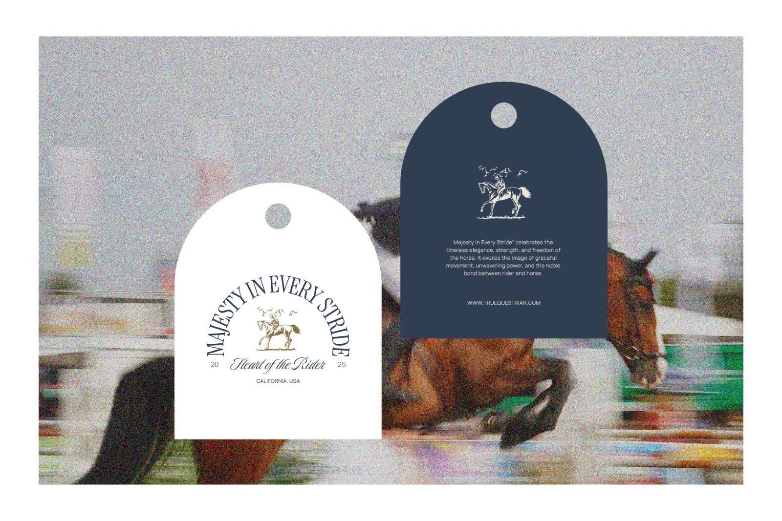 Equestrian Graphic — image 9