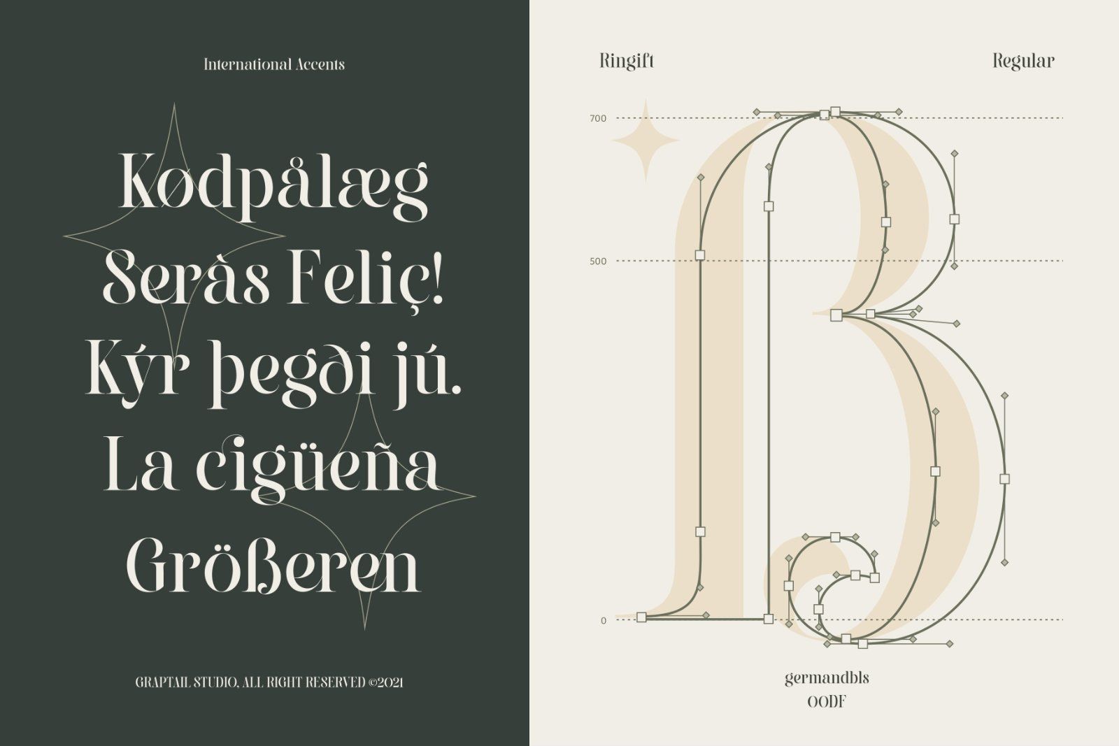 Ringift - A Modern Serif — image 11