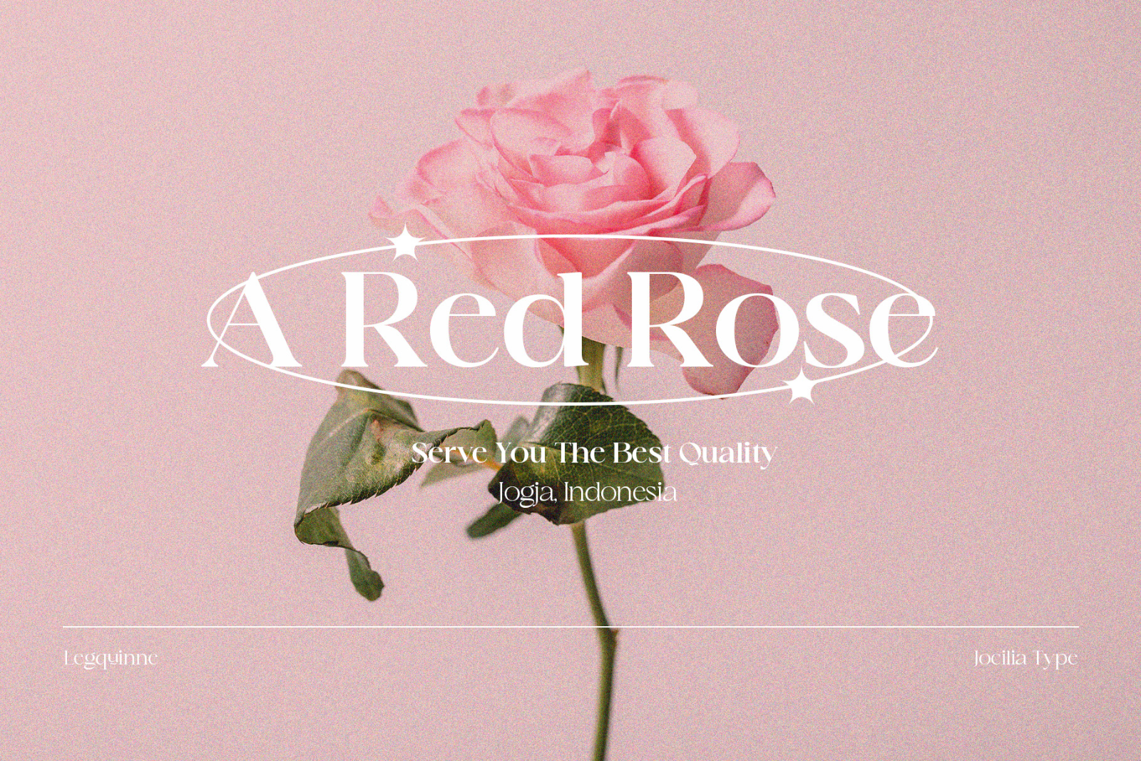 Legquinne | Aesthetic Font