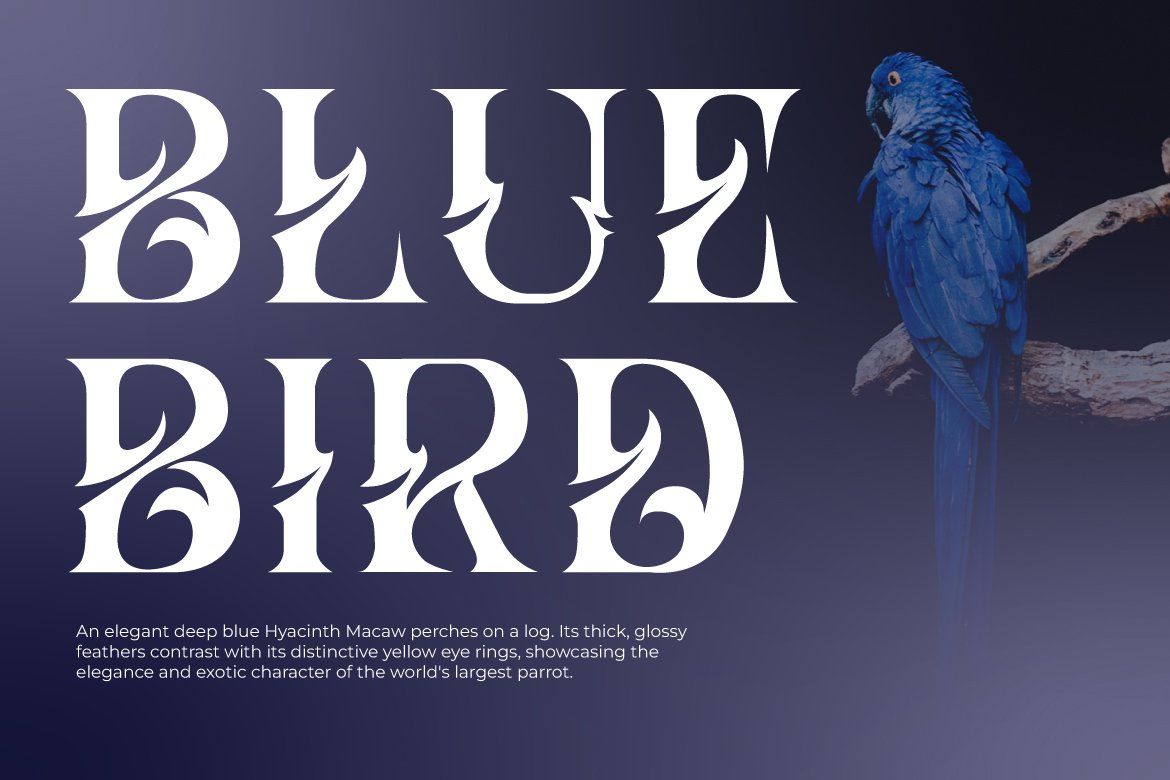 Hizba – Luxury Ornamental Serif Font