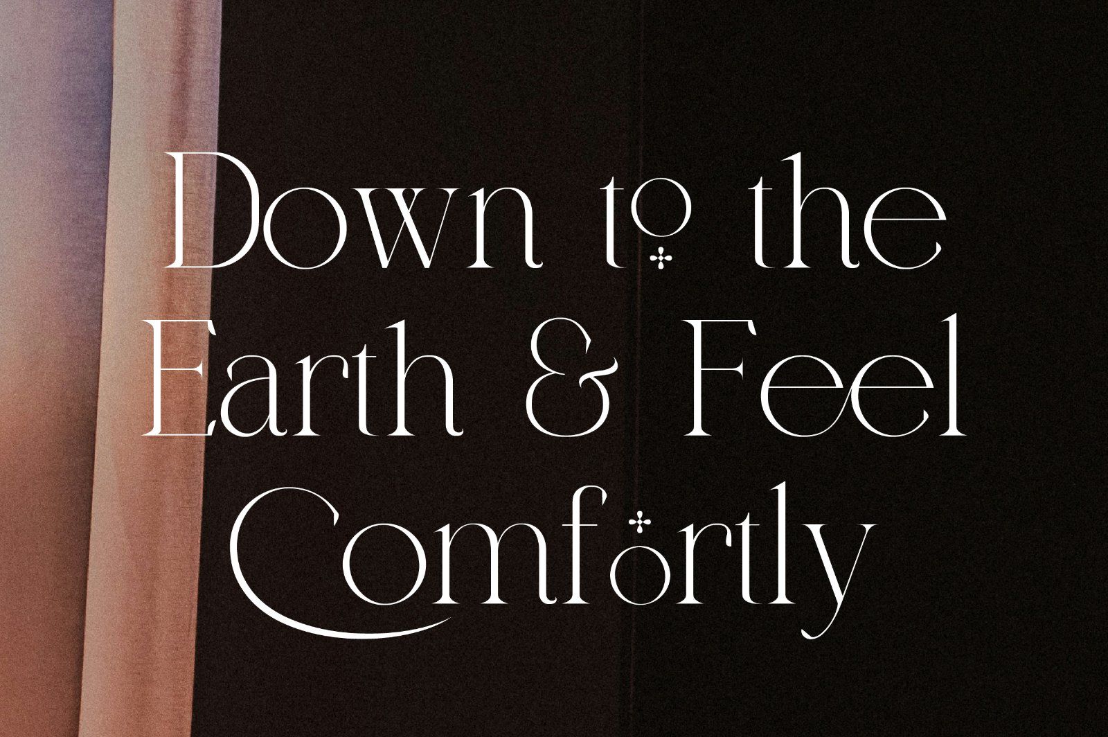 Qareky a Modern & Elegant Serif — image 13