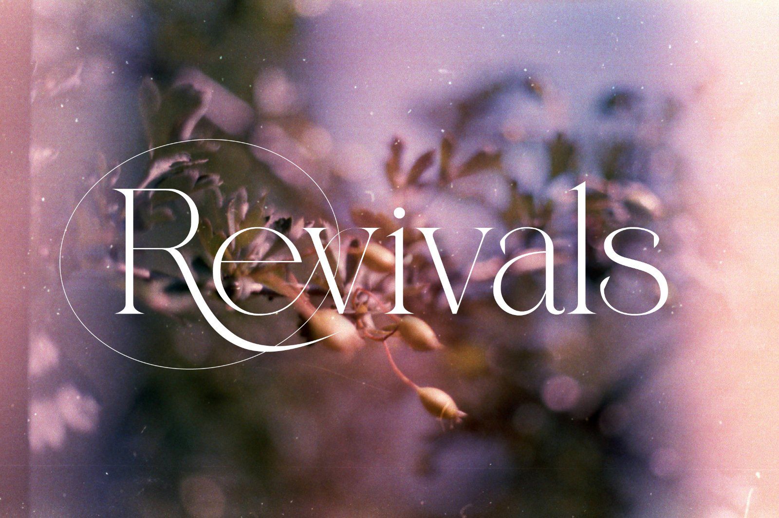 Qareky a Modern & Elegant Serif — image 19