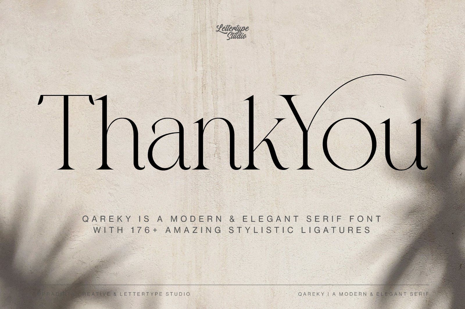 Qareky a Modern & Elegant Serif — image 20